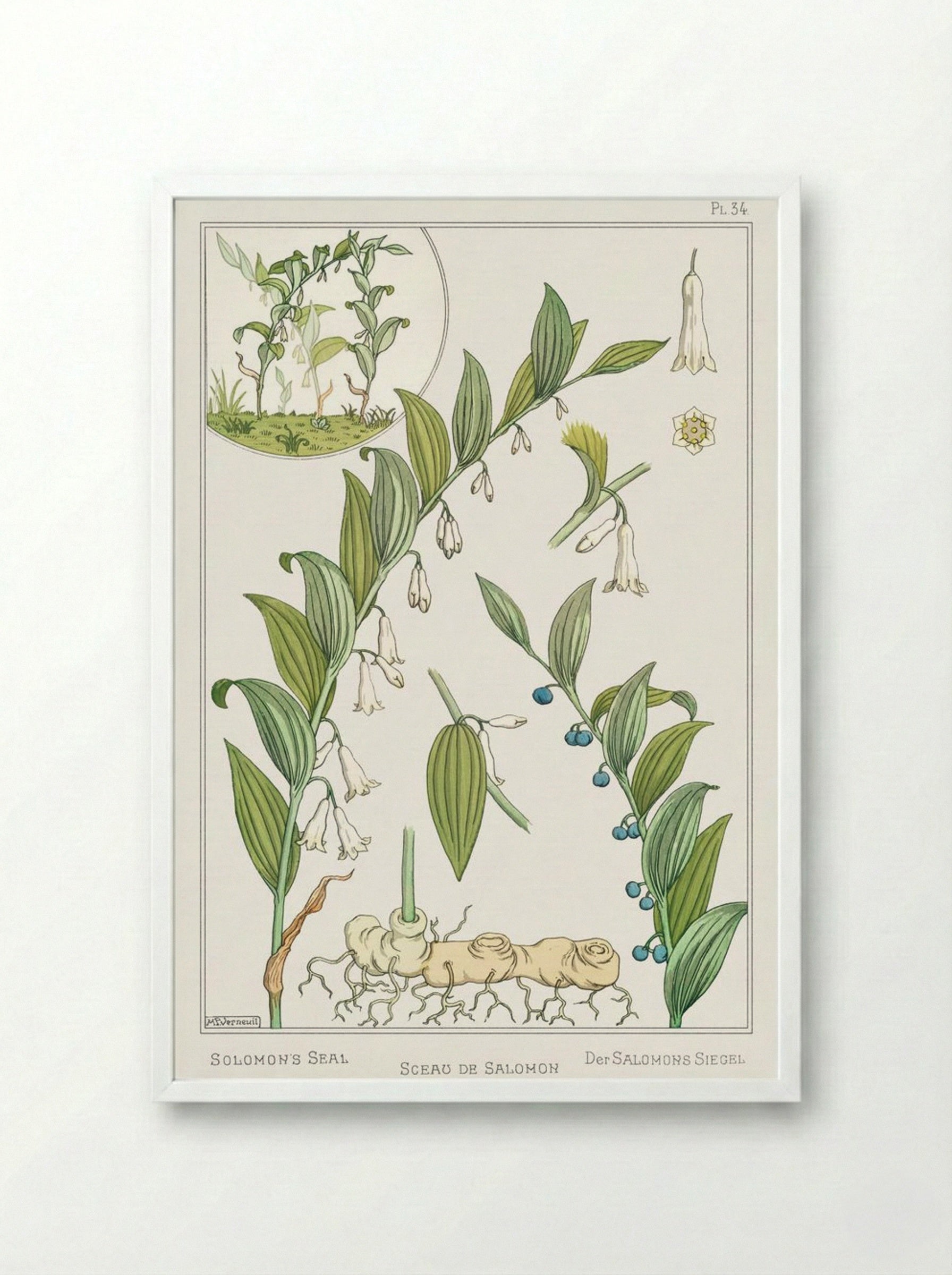 Sceau de Salomon (Solomon's Seal) - Maurice Pillard Verneuil - Framed Print White