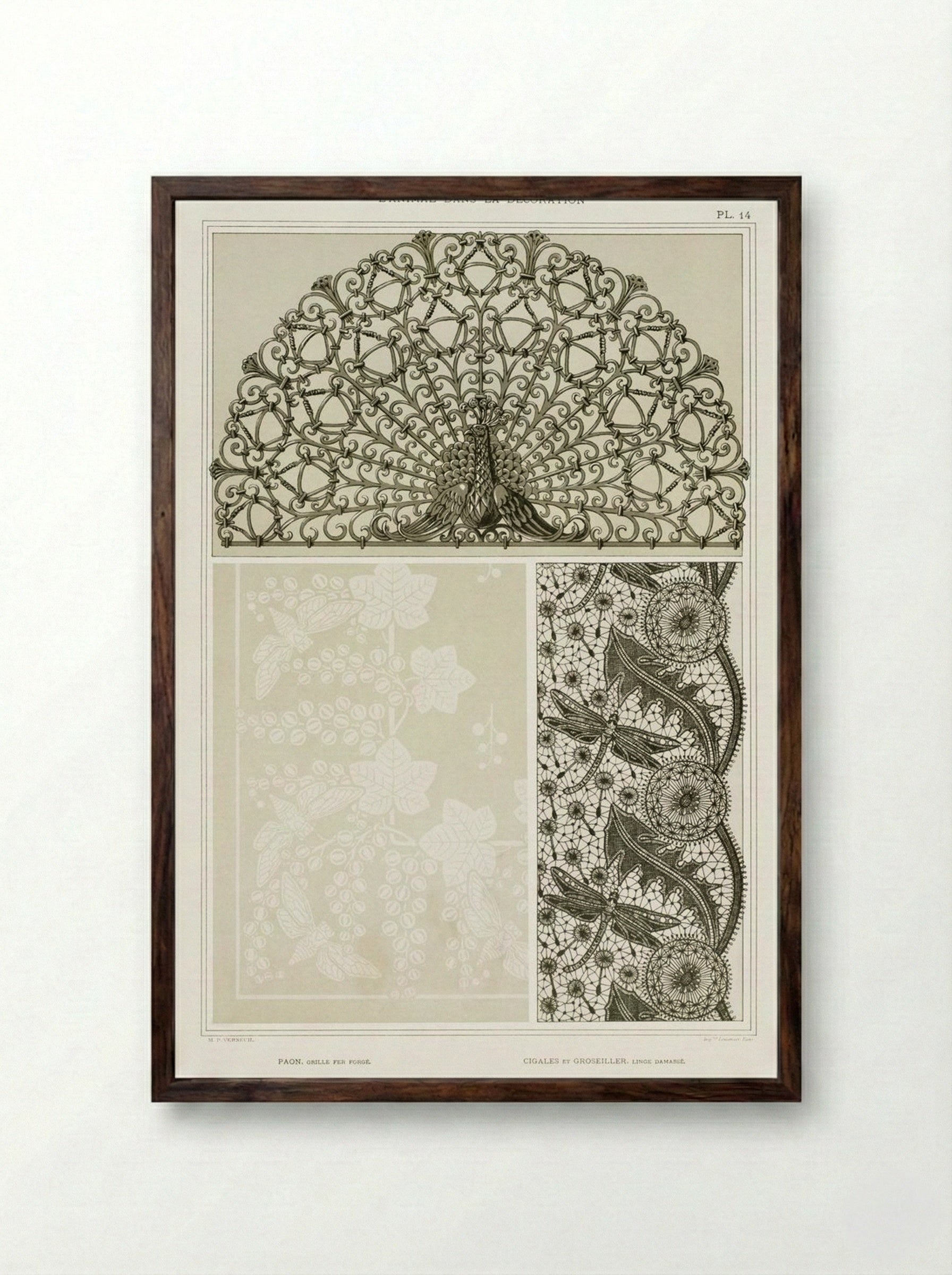 L'Animal dans la Décoration, Plate 14 (Peacock, Cicadas, Dragonflies) - Maurice Pillard Verneuil - Framed Print Dark Wood