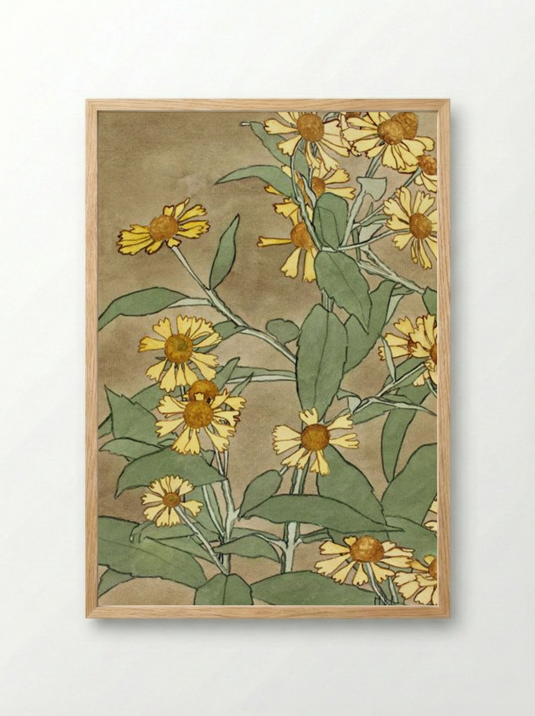 Daisies with Orange Center and Yellow Petals - Hannah Borger Overbeck - Framed Print Wood
