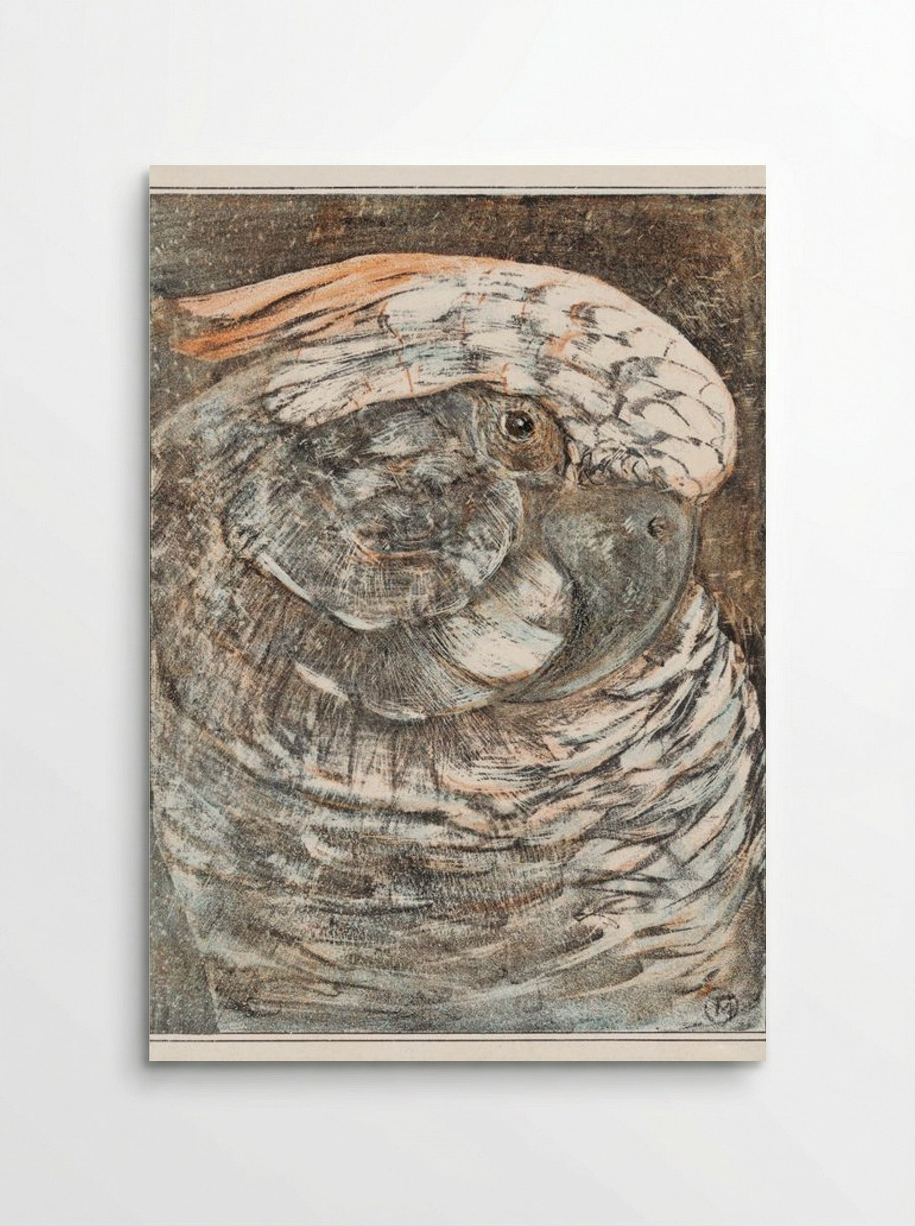 Head of a Parrot - Theo van Hoytema - Poster