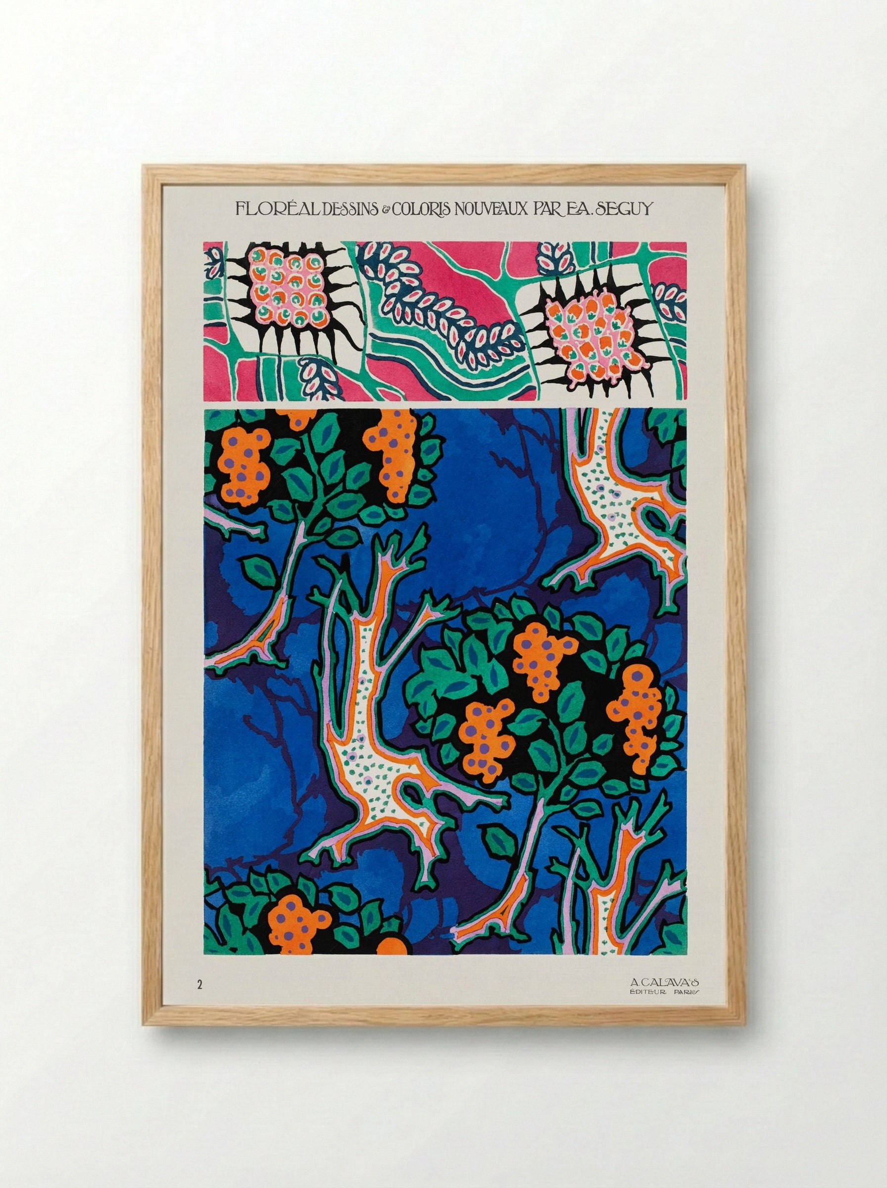 Floral Designs and Colour Schemes (Plate 4) - Émile-Allain Séguy - Framed Print Wood