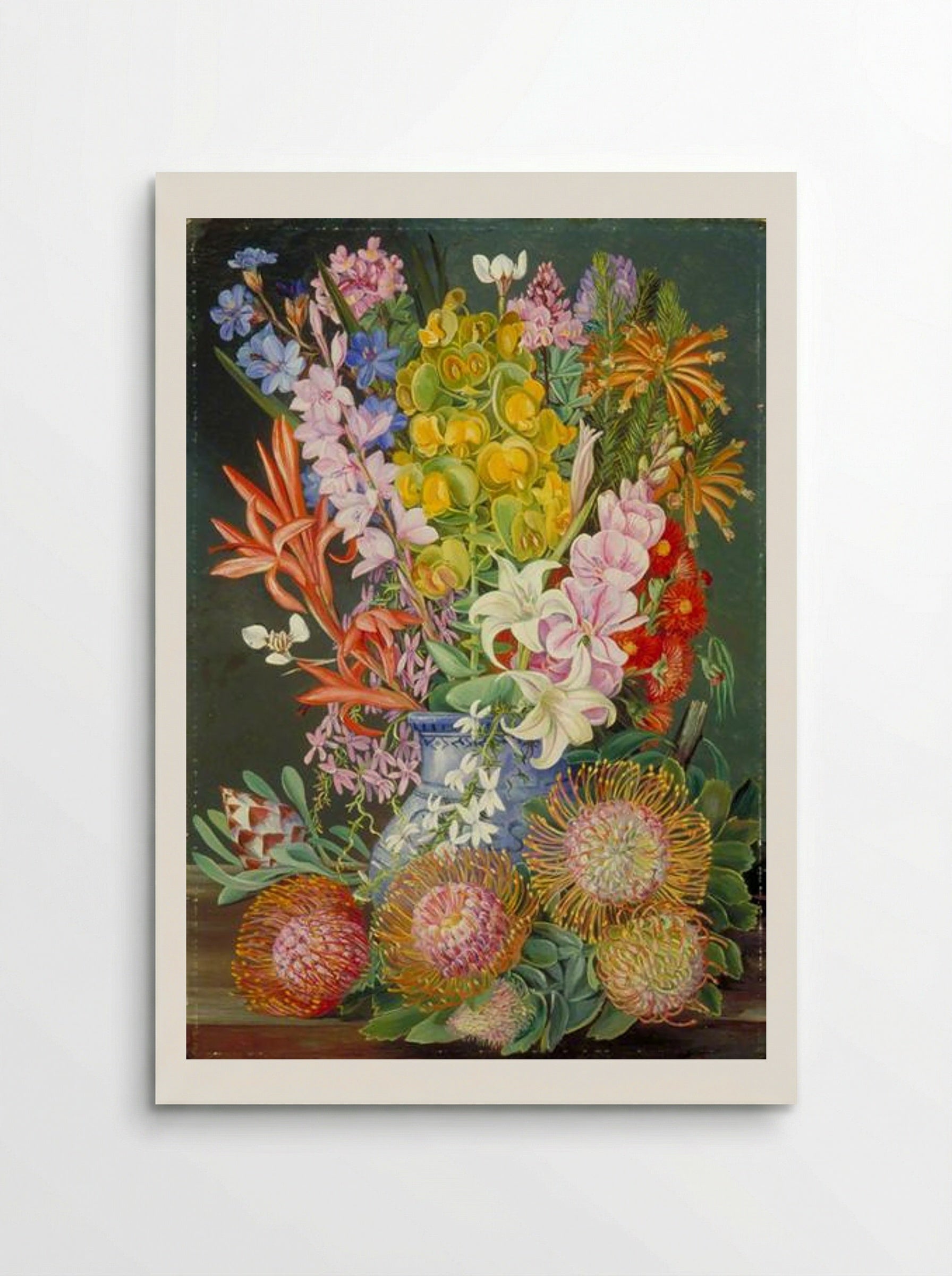 Wild Flowers of Ceres, South Africa - Marianne North - Poster
