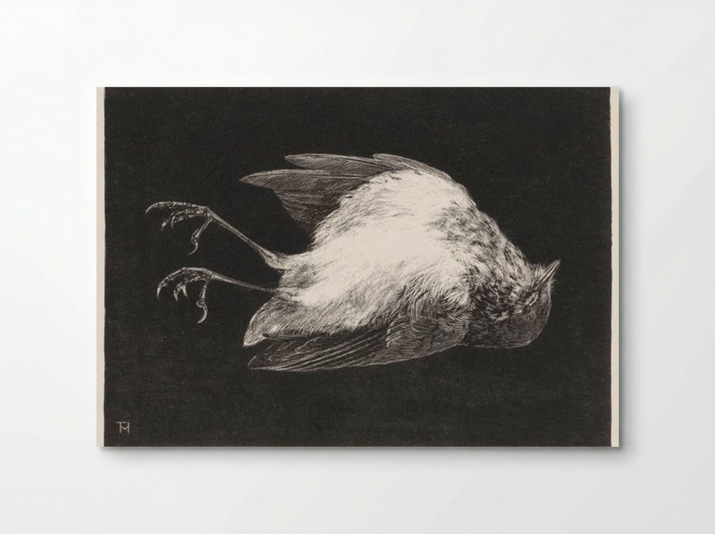 Dood Roodborstje (Dead Robin) - Theo van Hoytema - Poster