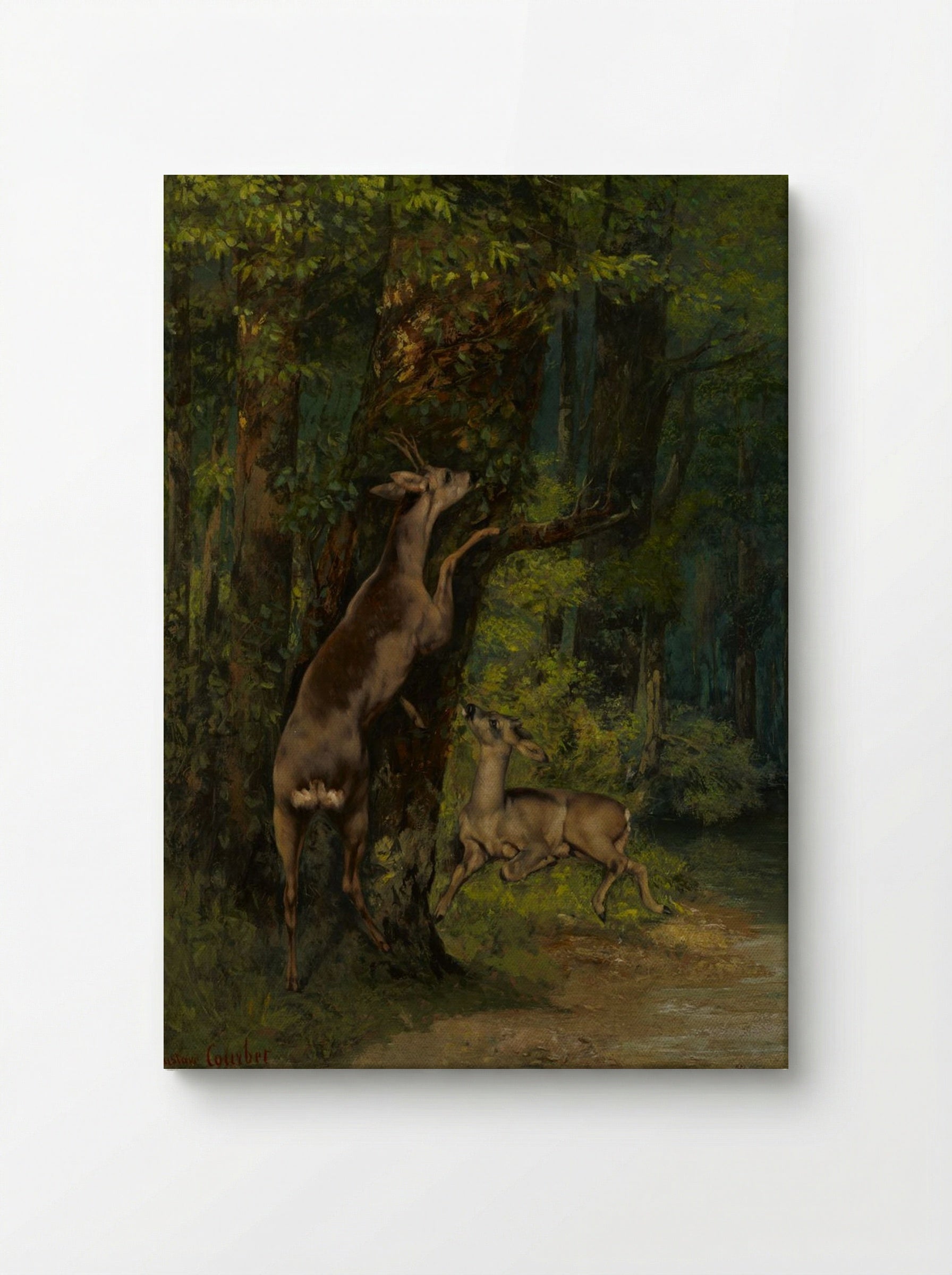 Deer in the Forest - Gustave Courbet - Canvas