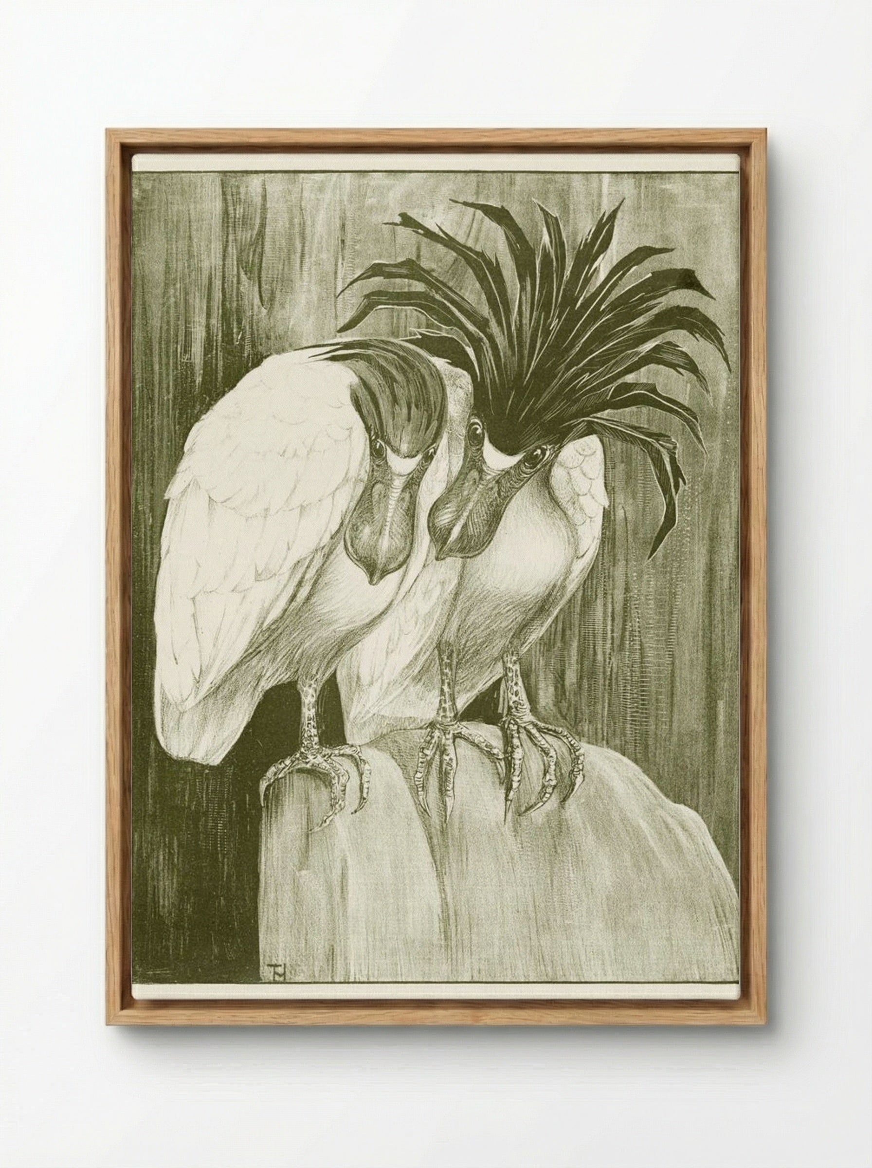 Two Boat-billed Herons - Theo van Hoytema - Framed Canvas Wood