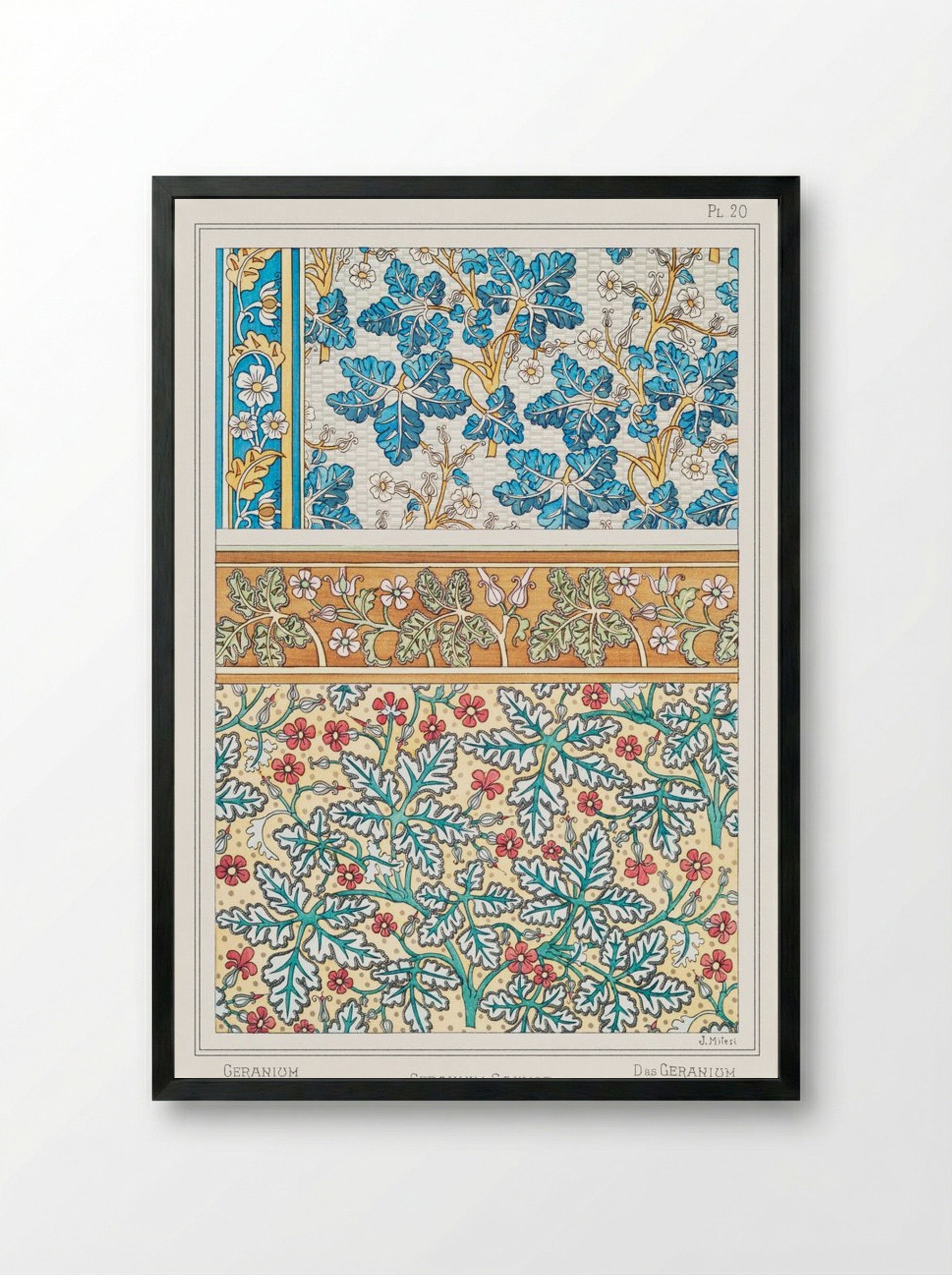 Geranium sauvage (Geranium, Plate 20) - Maurice Pillard Verneuil - Framed Print Black