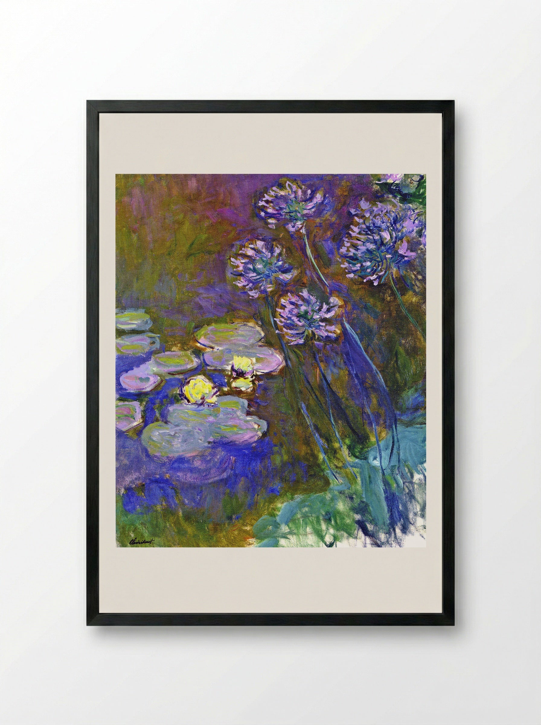 Water Lilies and Agapanthus - Claude Monet - Framed Print Black