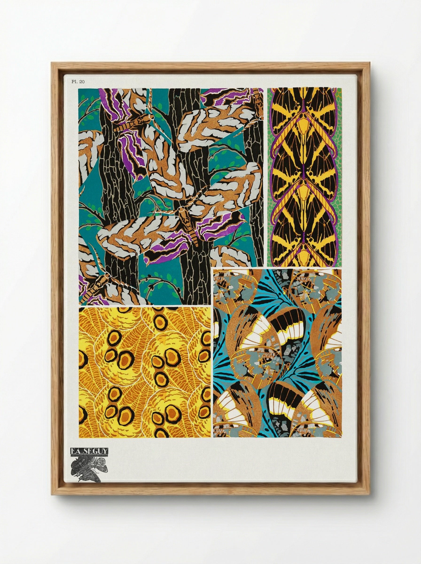 Butterflies Pattern Plate (from Papillons) - Émile-Allain Séguy - Framed Canvas Wood