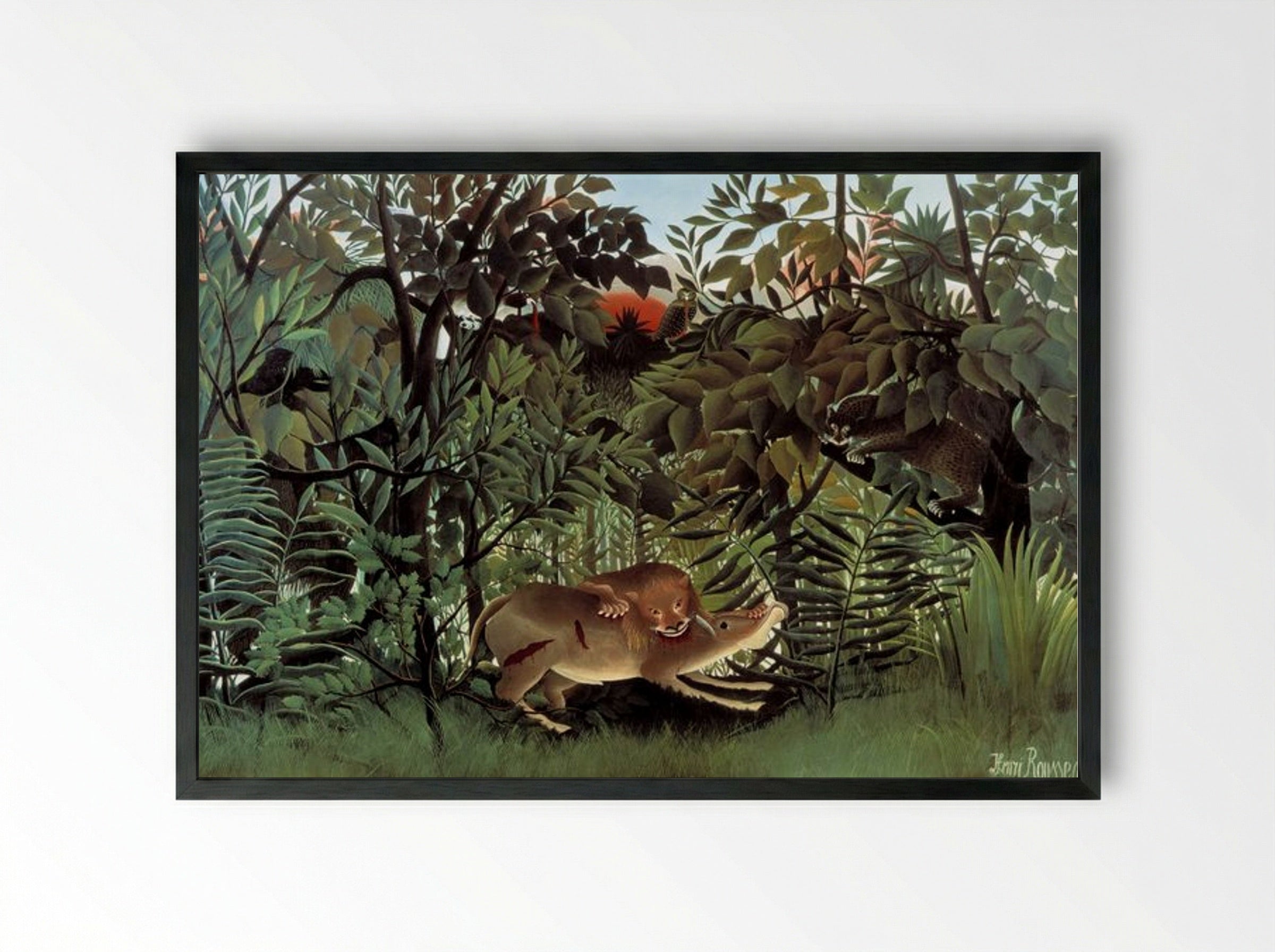 The Hungry Lion Throws Itself on the Antelope - Henri Rousseau - Framed Print Black