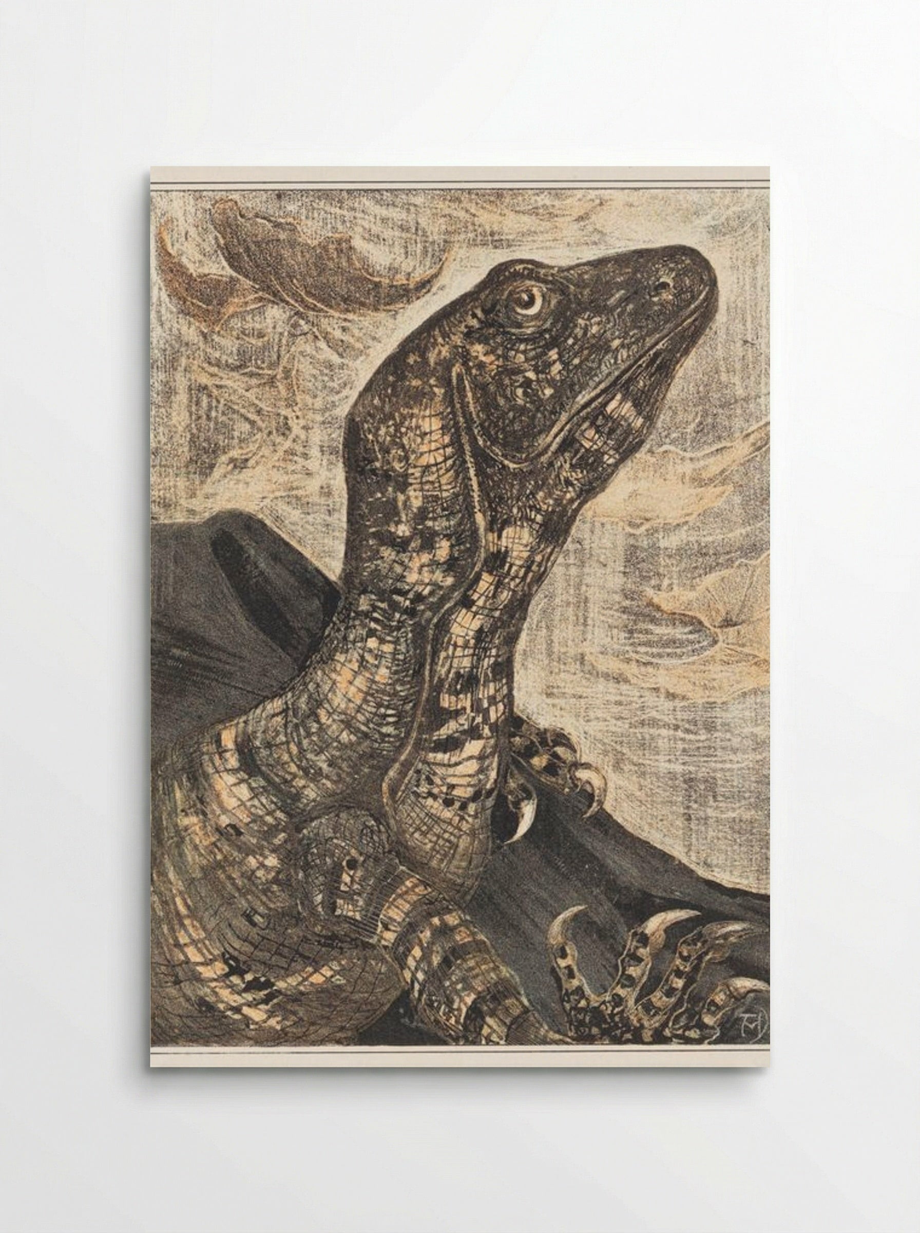 Leguaan (Monitor Lizard) - Theo van Hoytema - Poster