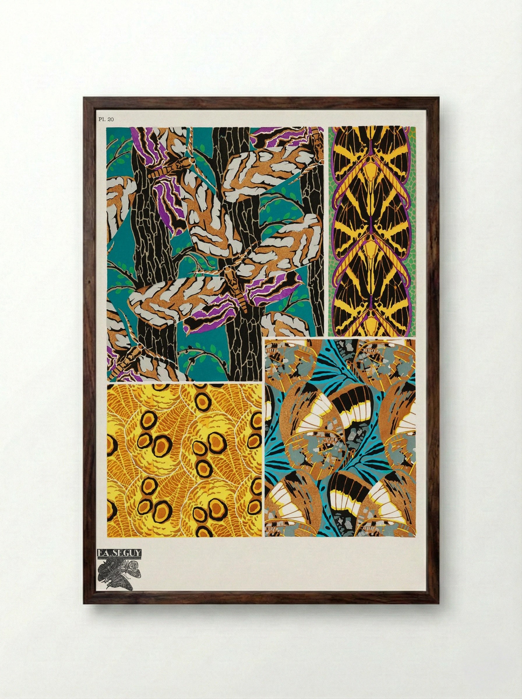 Butterflies Pattern Plate (from Papillons) - Émile-Allain Séguy - Framed Print Dark Wood
