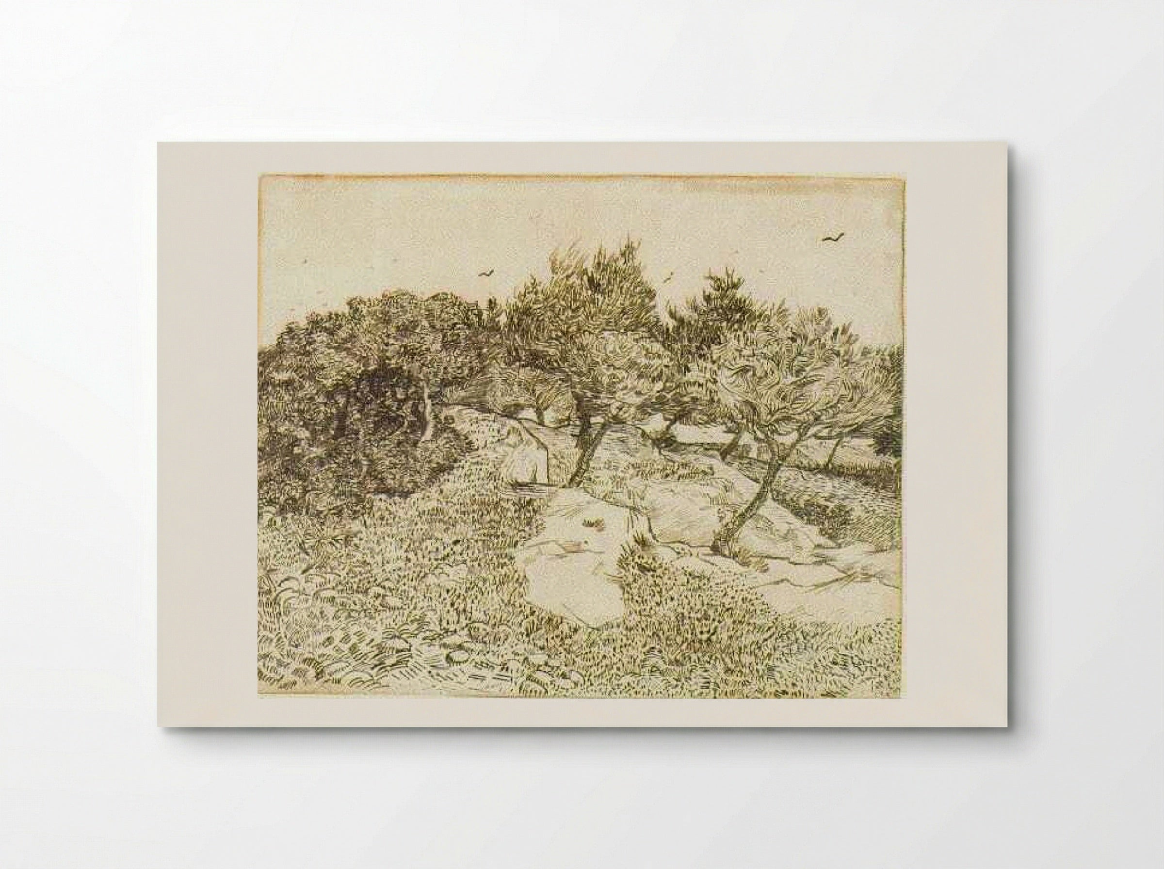 The Olive Trees - Vincent van Gogh - Poster