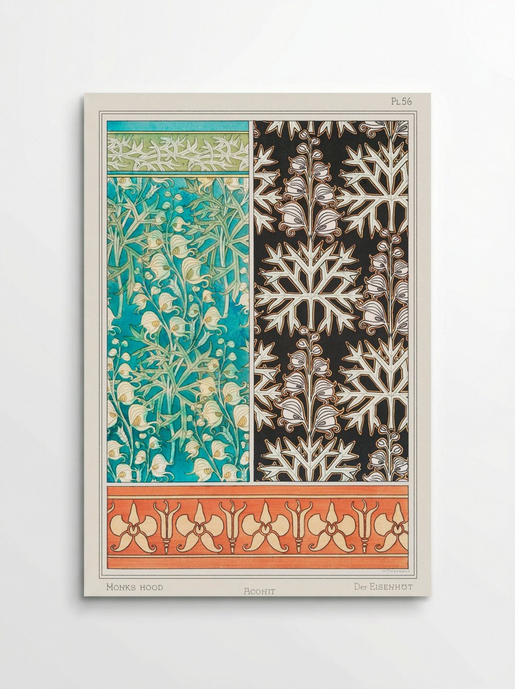 Aconite (Monkshood) from La Plante et ses Applications ornementales - Maurice Pillard Verneuil - Poster