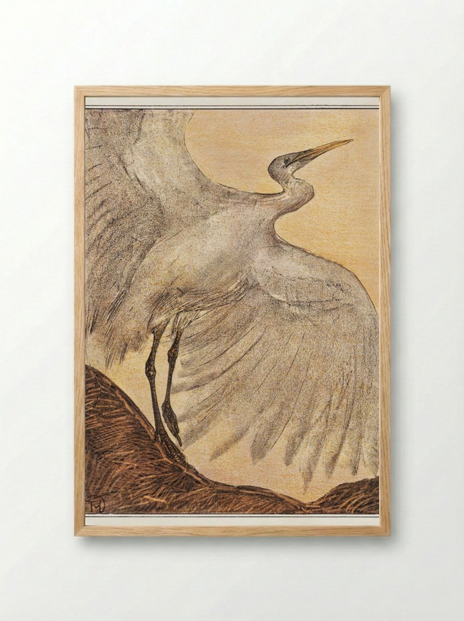 Zilverreiger (Heron) - Theo van Hoytema - Framed Print Wood