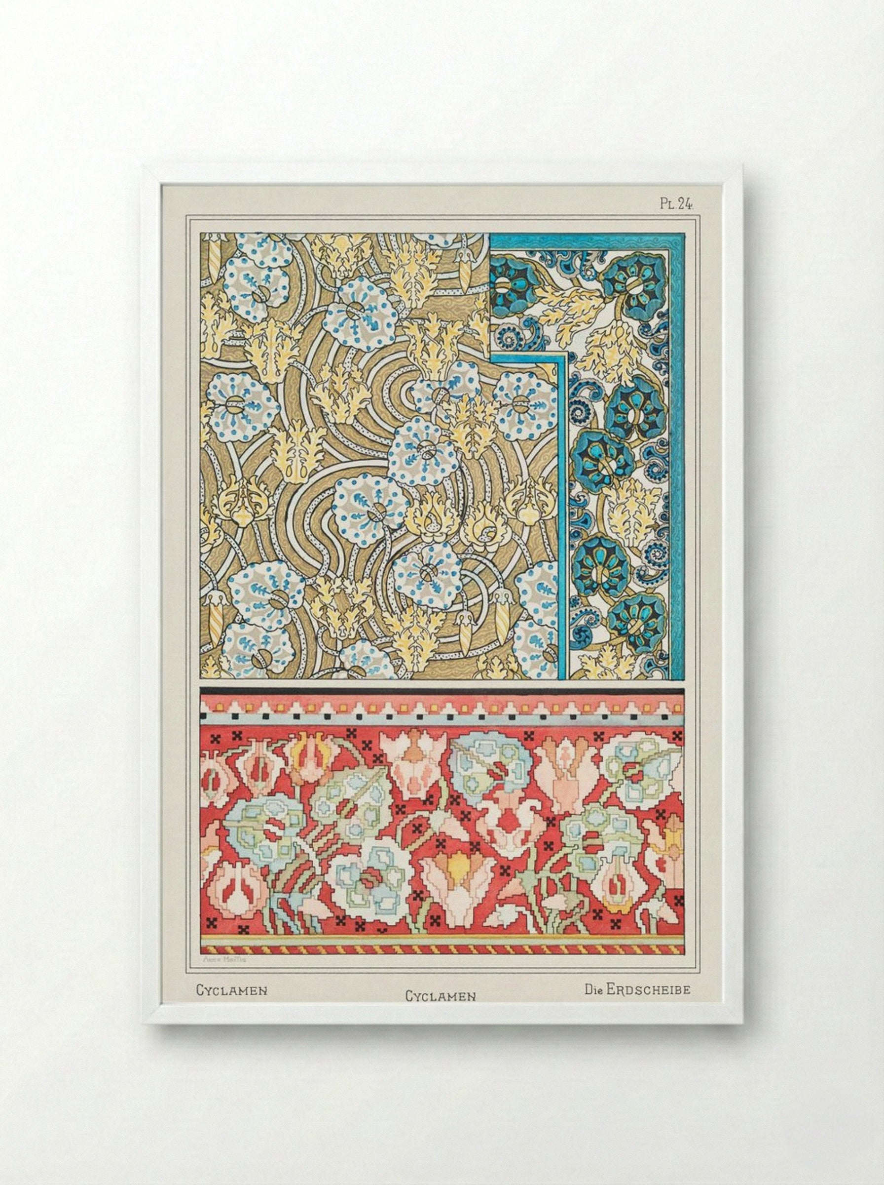 Cyclamen, from 'La Plante et ses Applications ornementales' - Maurice Pillard Verneuil - Framed Print White