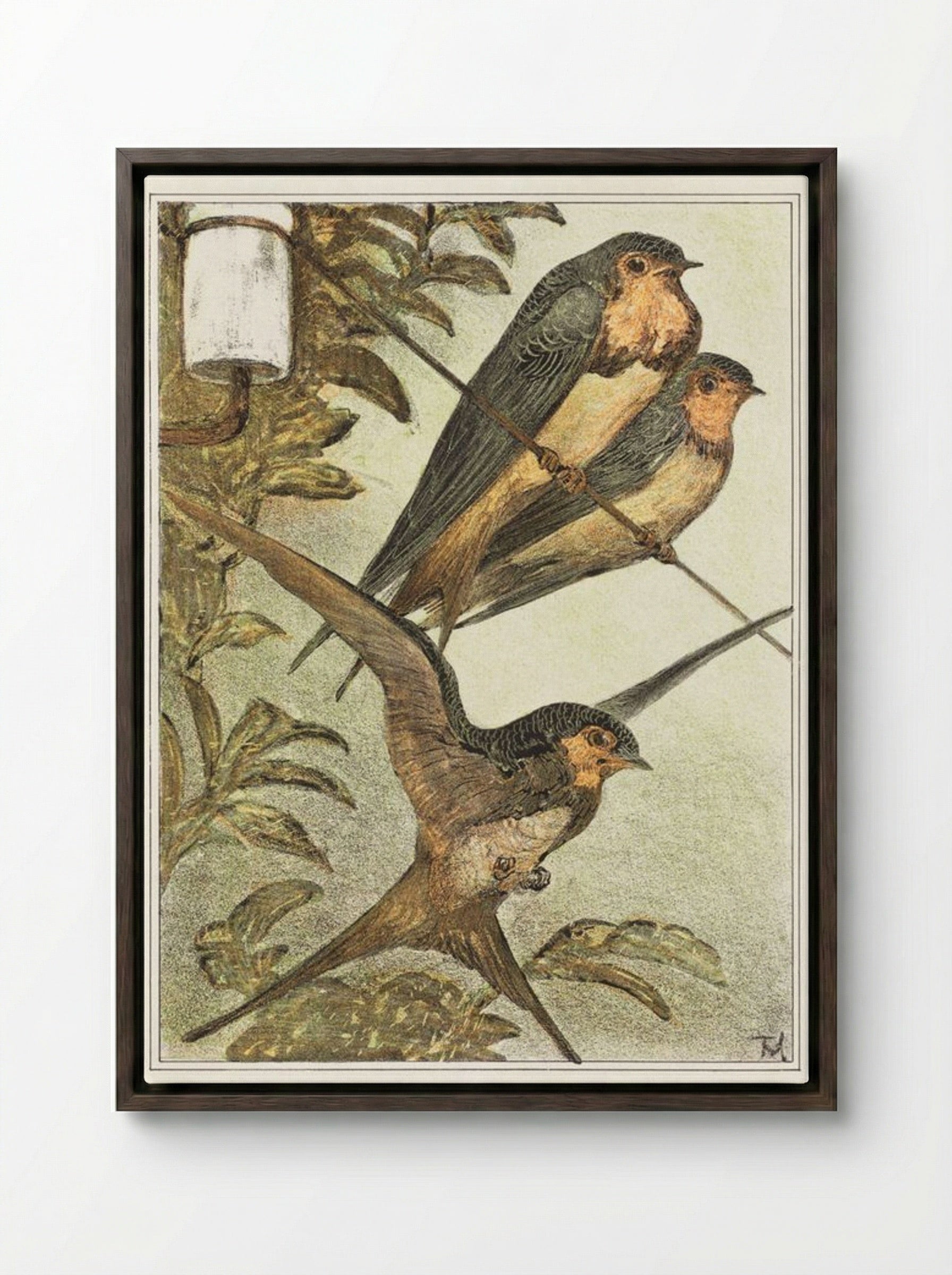 Drie zwaluwen (Three Swallows) - Theo van Hoytema - Framed Canvas Dark Wood