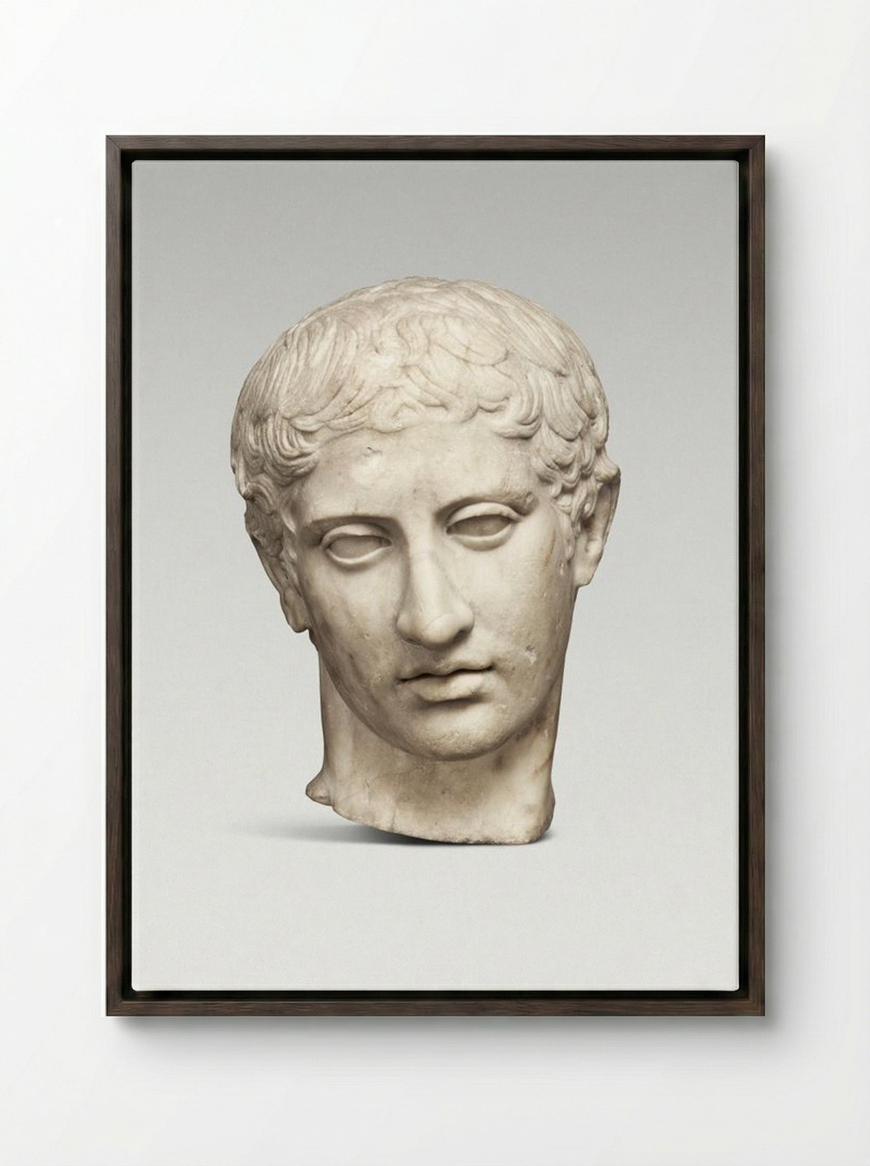 Marble Head of a Youth - Fine Art Print - Framed Canvas Dark Wood