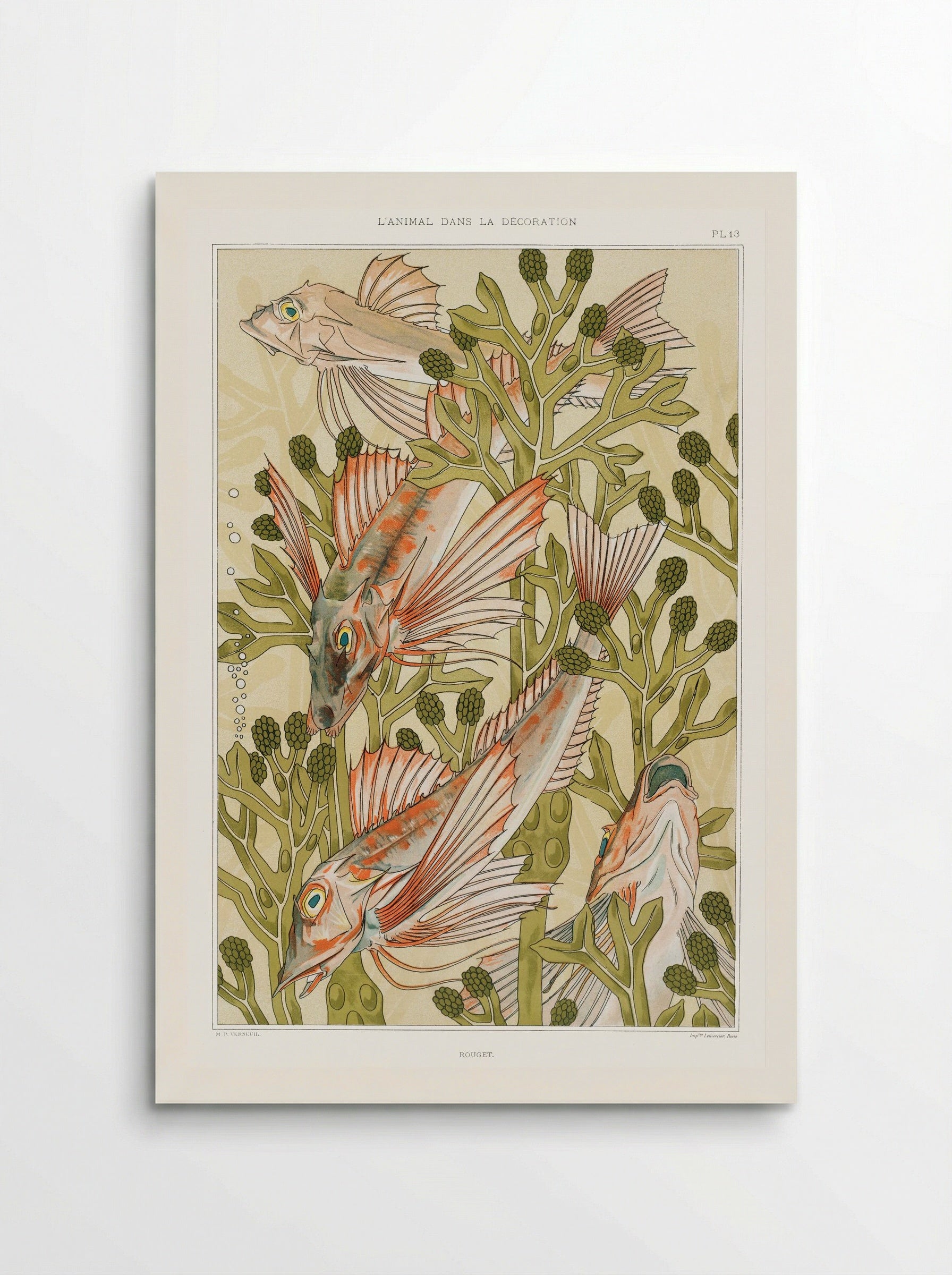 Rouget (From L'animal dans la décoration) - Maurice Pillard Verneuil - Poster