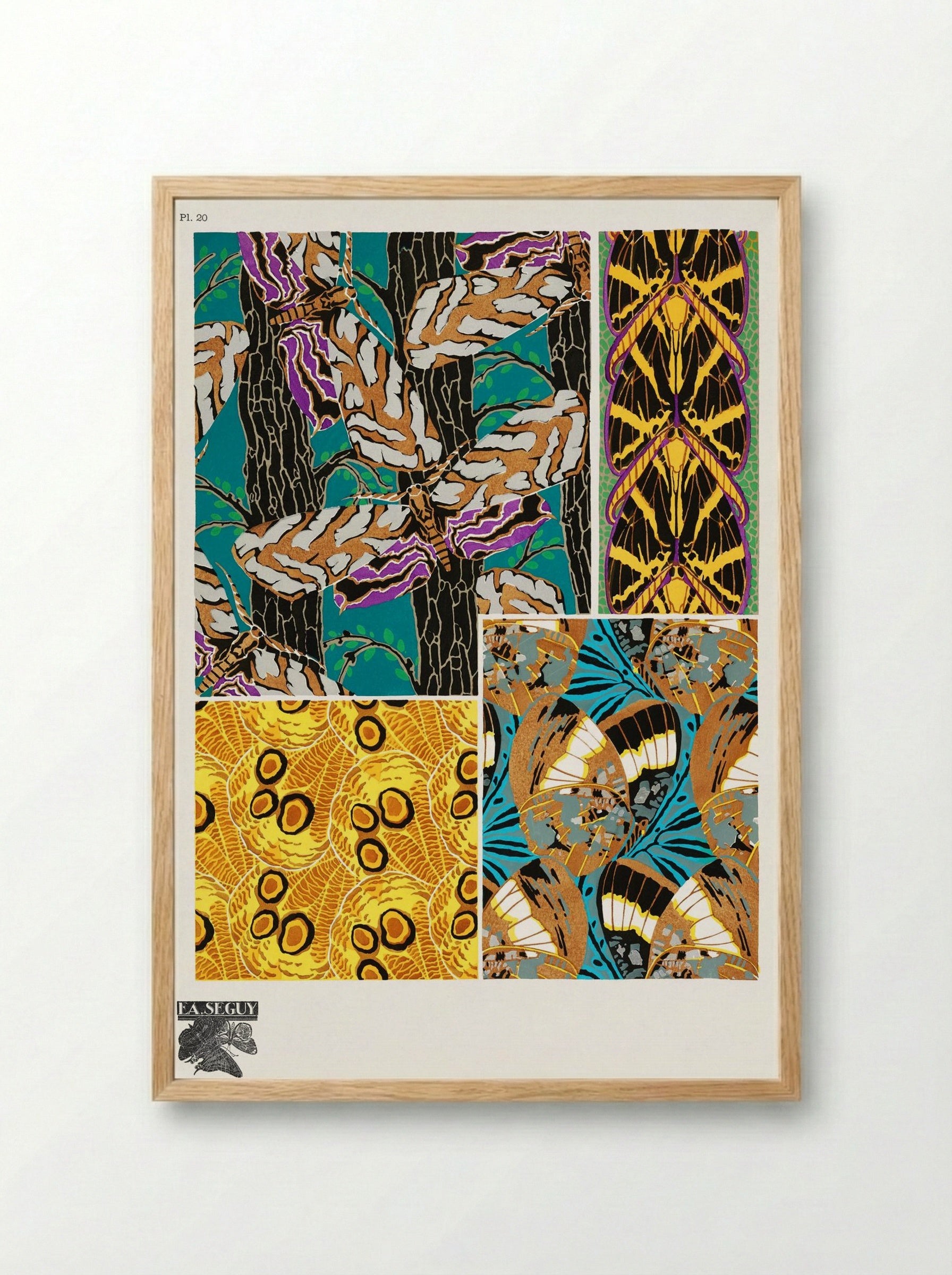 Butterflies Pattern Plate (from Papillons) - Émile-Allain Séguy - Framed Print Wood