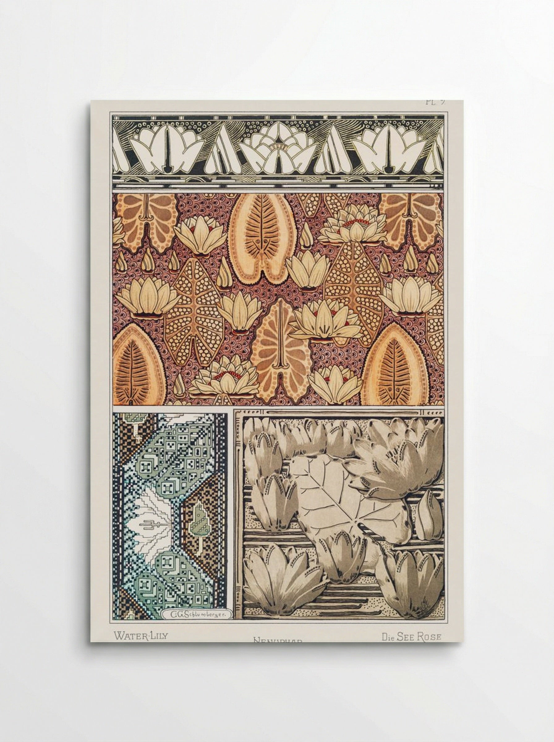 Nénuphar (Water Lilies) from La Plante et ses Applications ornementales - Maurice Pillard Verneuil - Poster