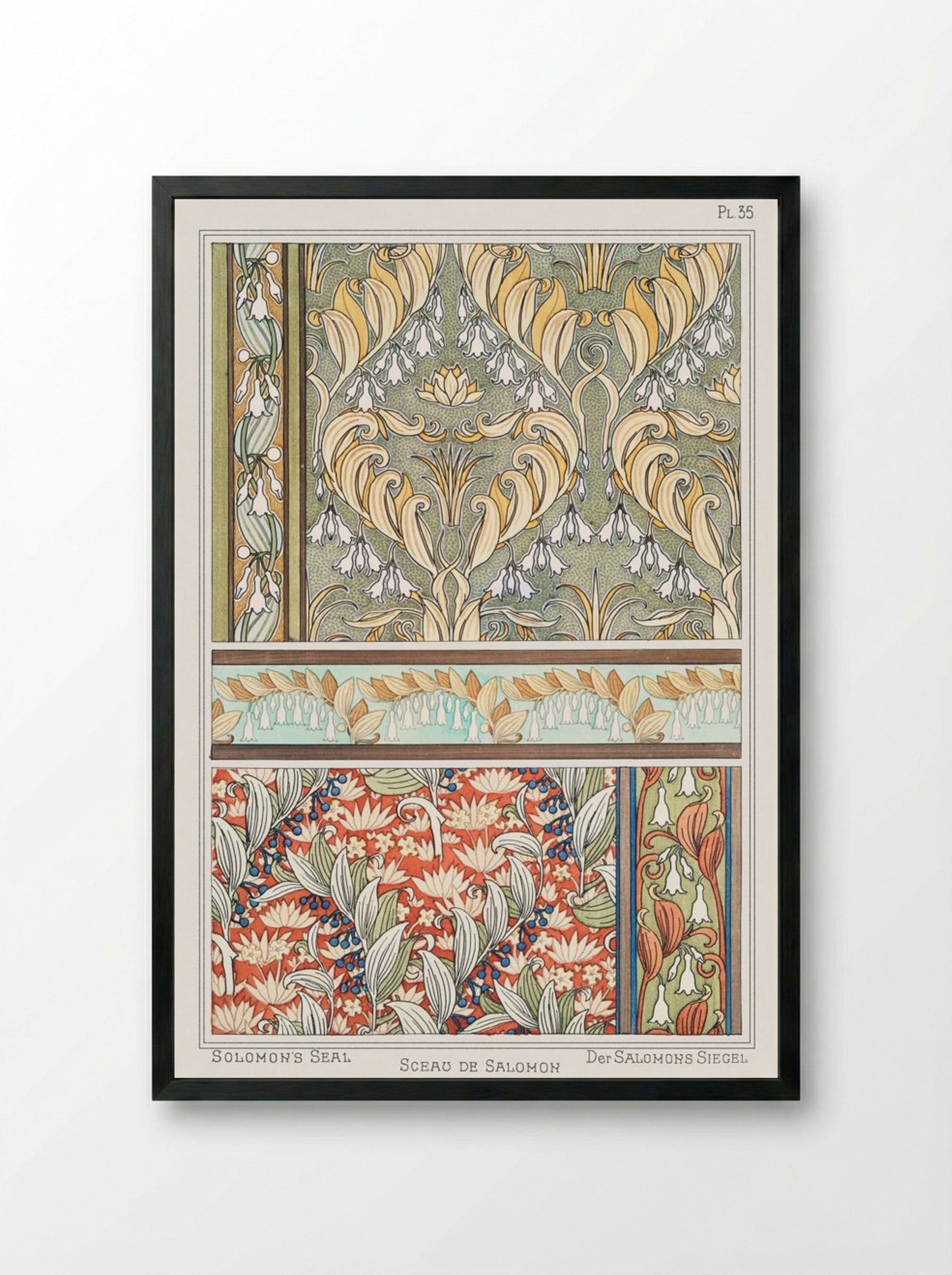 Sceau de Salomon (Solomon's Seal) from La Plante et ses Applications ornementales - Maurice Pillard Verneuil - Framed Print Black