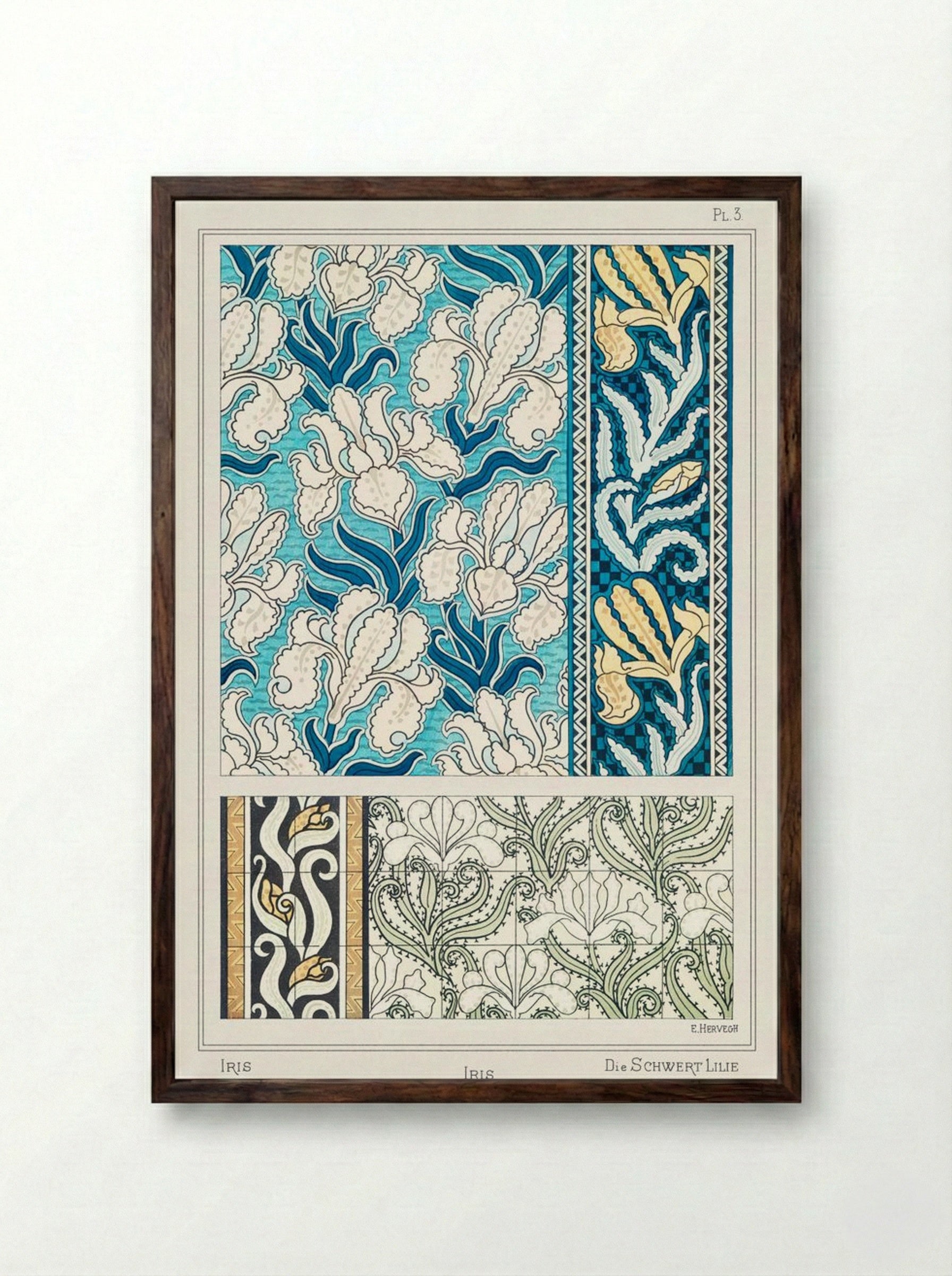 Iris, from La Plante et ses Applications ornementales - Maurice Pillard Verneuil - Framed Print Dark Wood