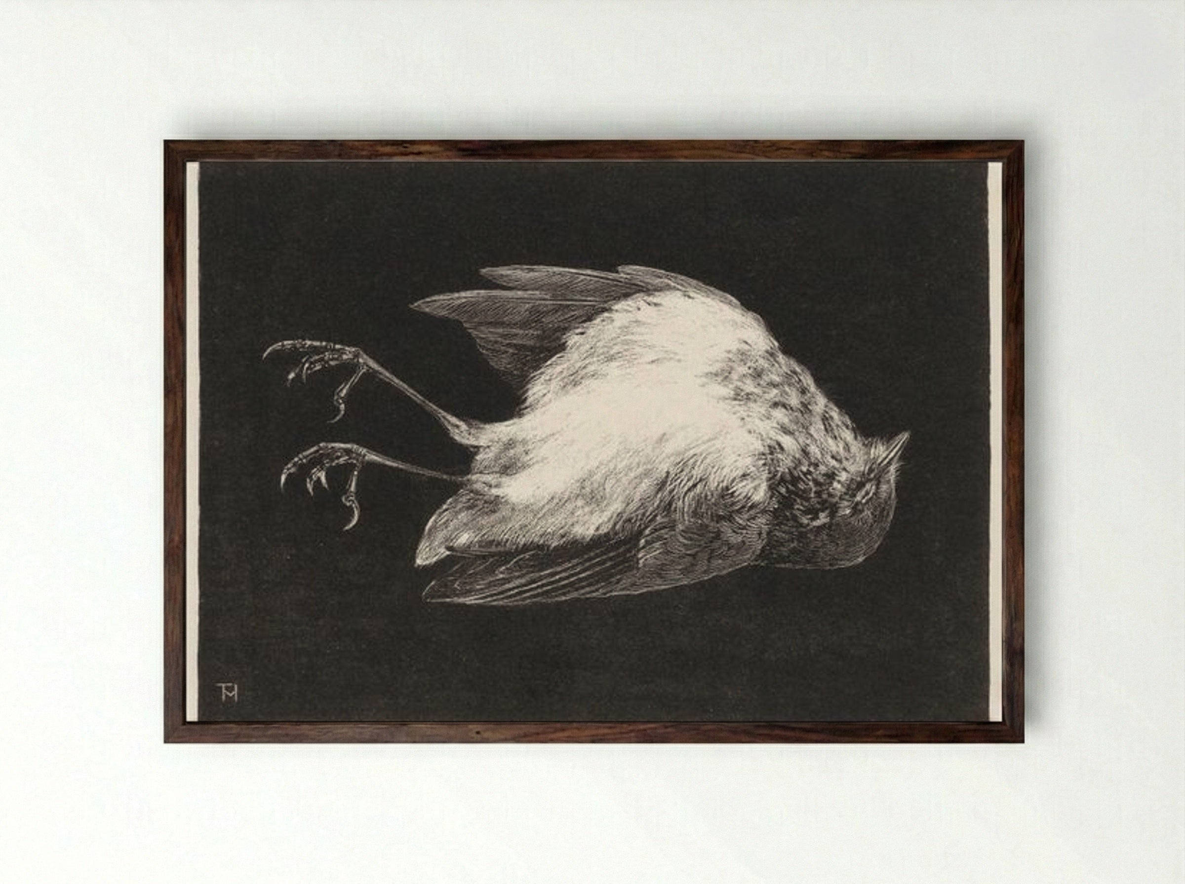 Dood Roodborstje (Dead Robin) - Theo van Hoytema - Framed Print Dark Wood