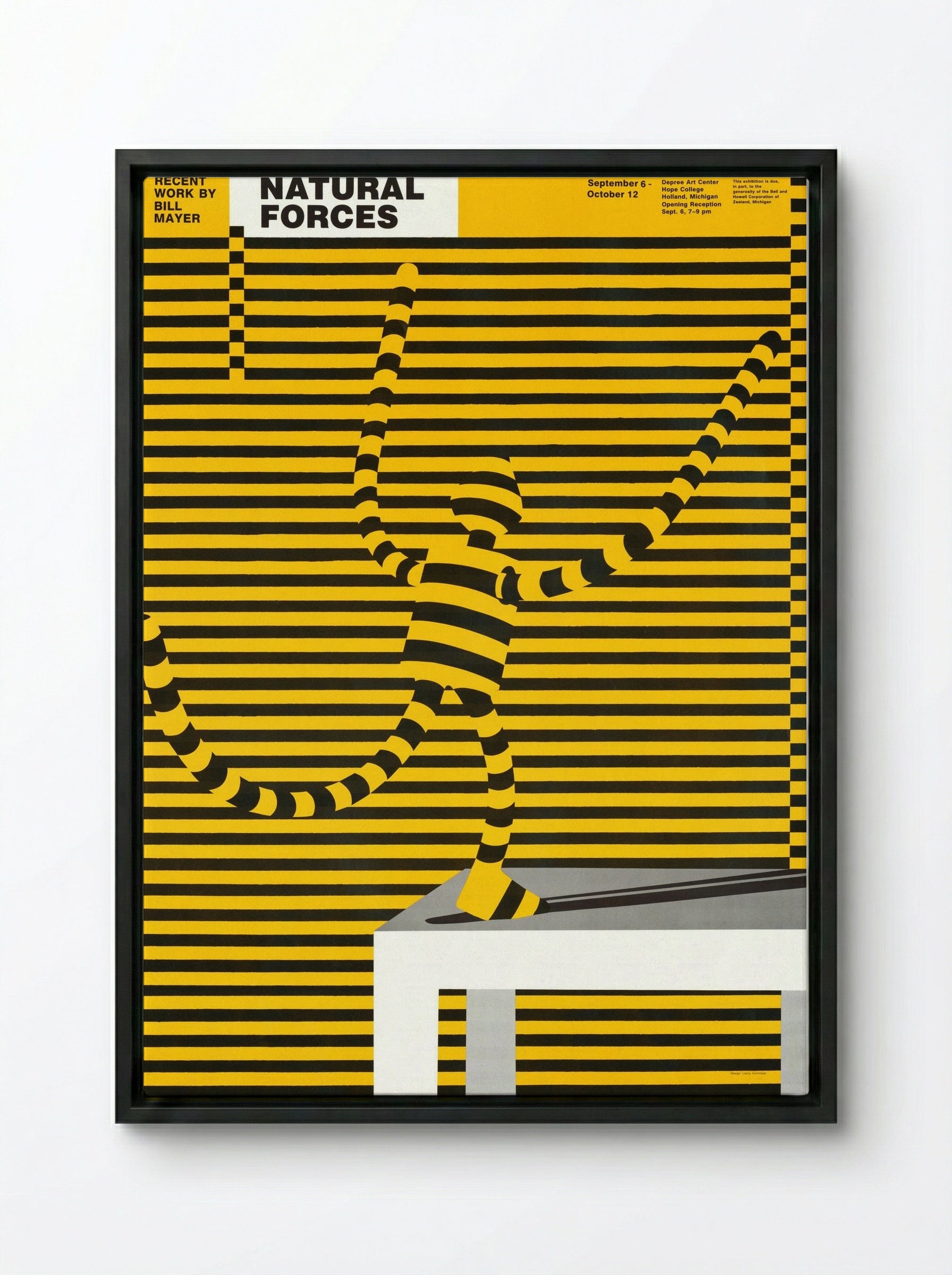 Natural Forces: Recent Work by Bill Mayer (Poster) - Lanny Sommese - Framed Canvas Black