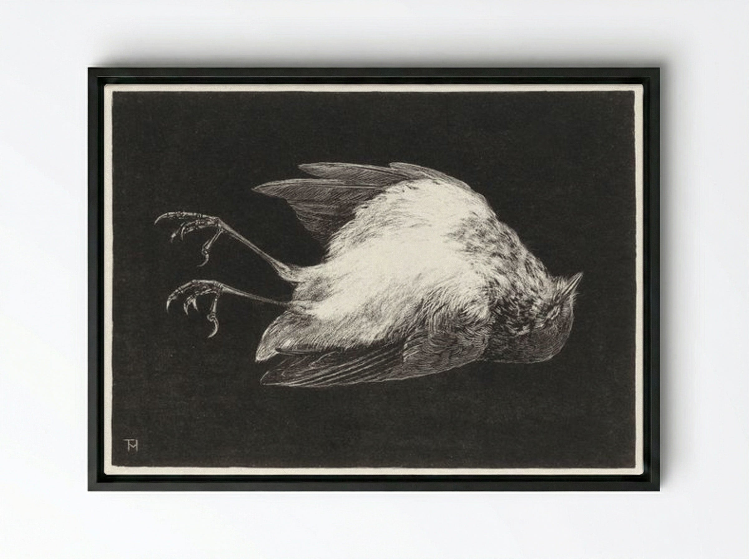Dood Roodborstje (Dead Robin) - Theo van Hoytema - Framed Canvas Black