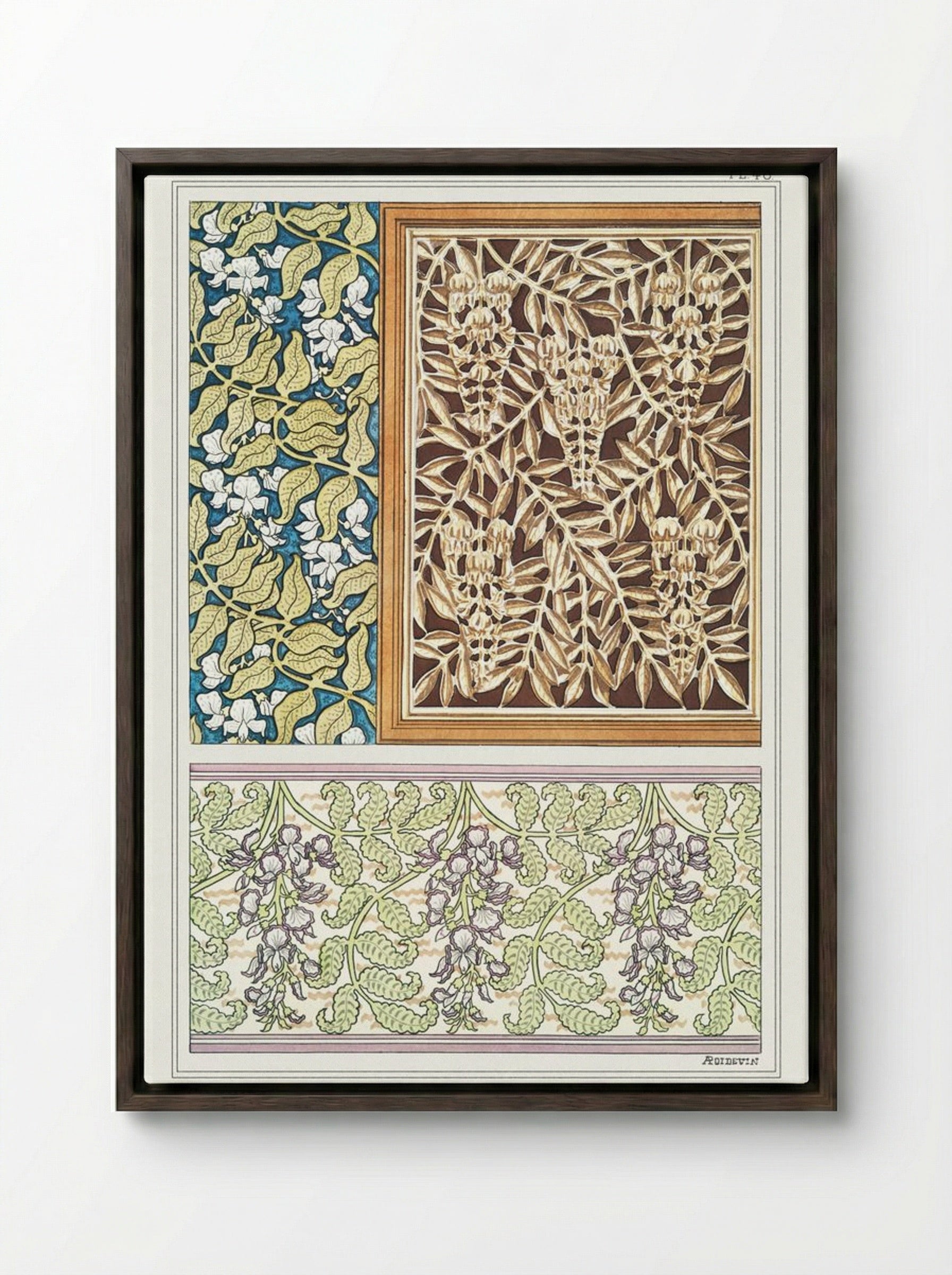 Glycine (Wisteria) from La Plante et ses Applications ornementales - Maurice Pillard Verneuil - Framed Canvas Dark Wood