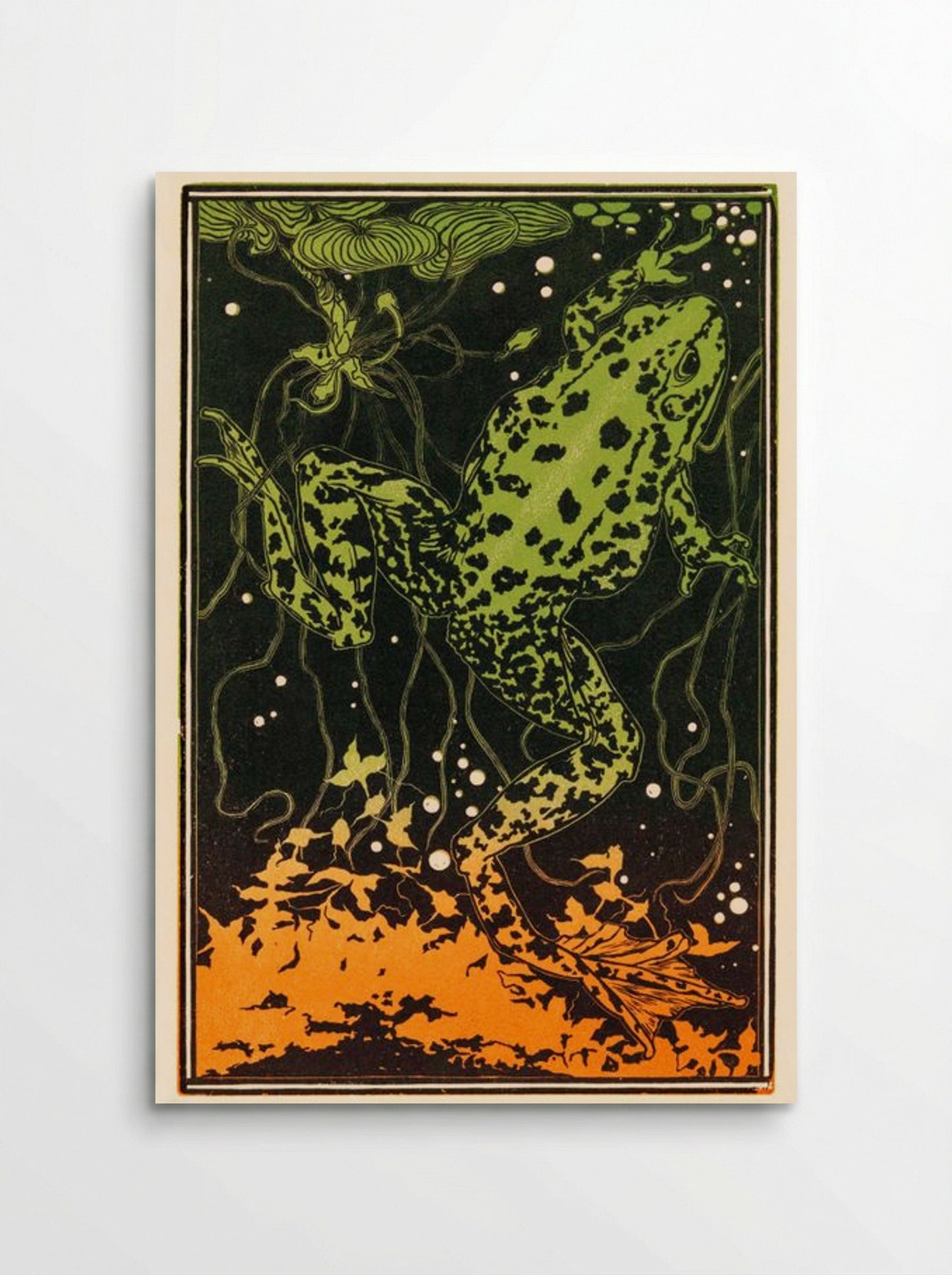 Swimming Frog - Julie de Graag - Poster