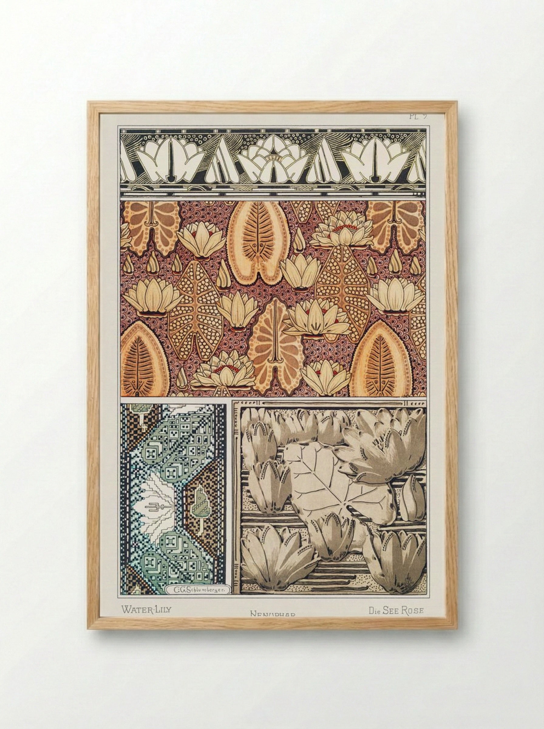 Nénuphar (Water Lilies) from La Plante et ses Applications ornementales - Maurice Pillard Verneuil - Framed Print Wood