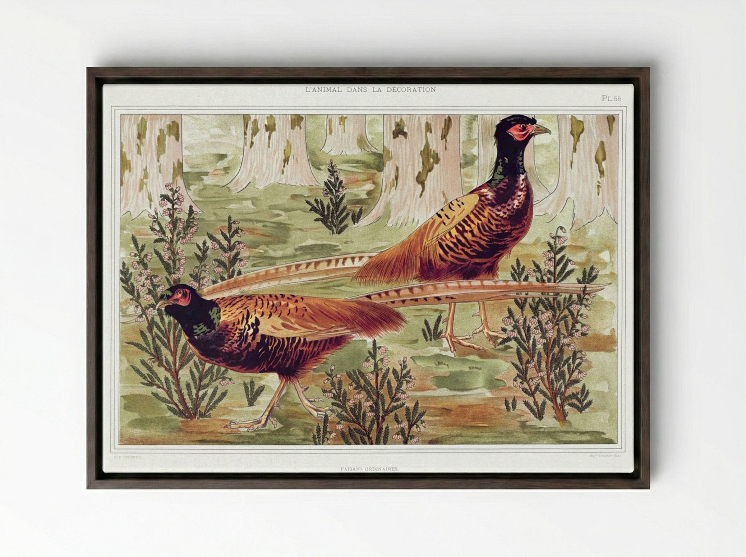 Faisans Ordinaires (Common Pheasants) - Maurice Pillard Verneuil - Framed Canvas Dark Wood