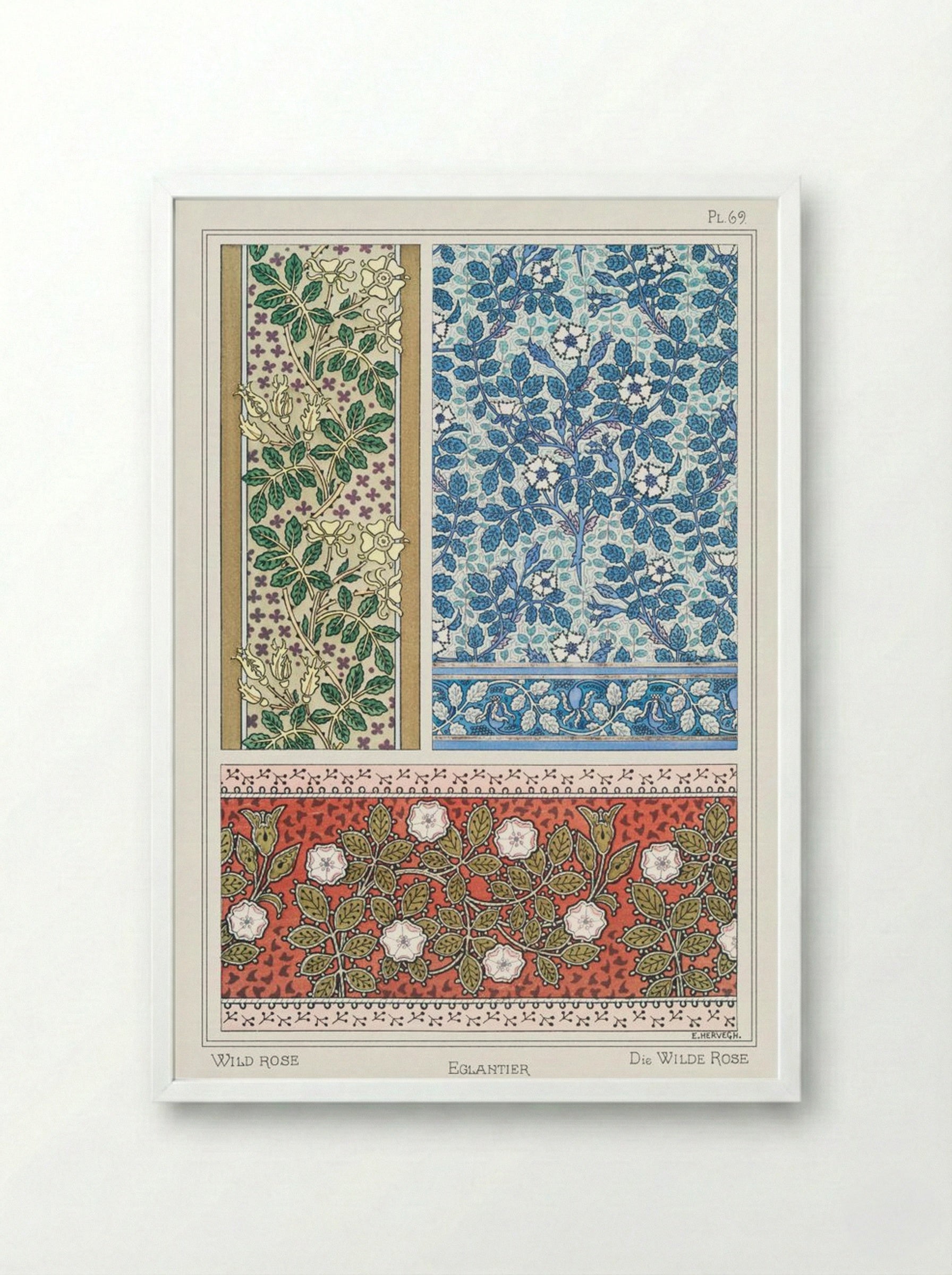 Eglantier (Wild Rose) from La Plante et ses Applications ornementales - Maurice Pillard Verneuil - Framed Print White