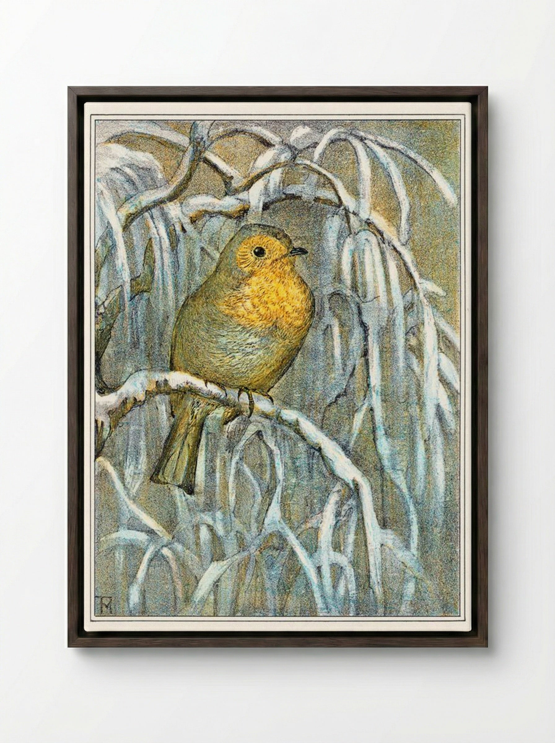 Robin on Snowy Branch - Theo van Hoytema - Framed Canvas Dark Wood