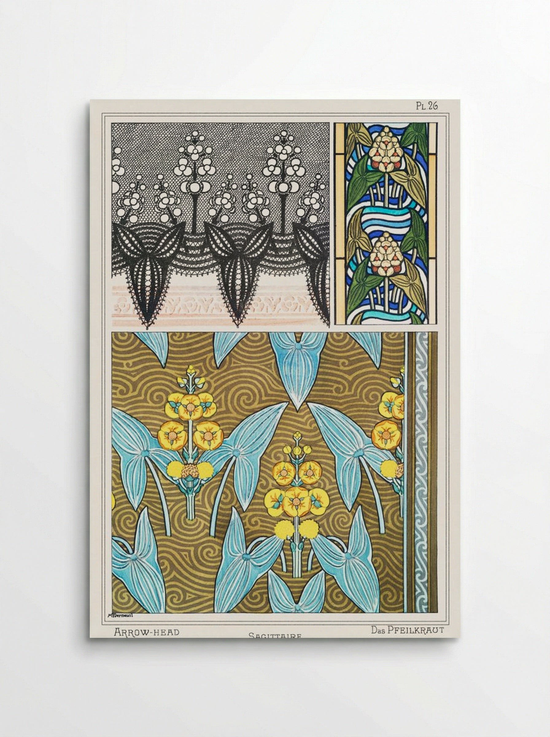 Sagittaire (Arrowhead) from La Plante et ses Applications ornementales - Maurice Pillard Verneuil - Poster