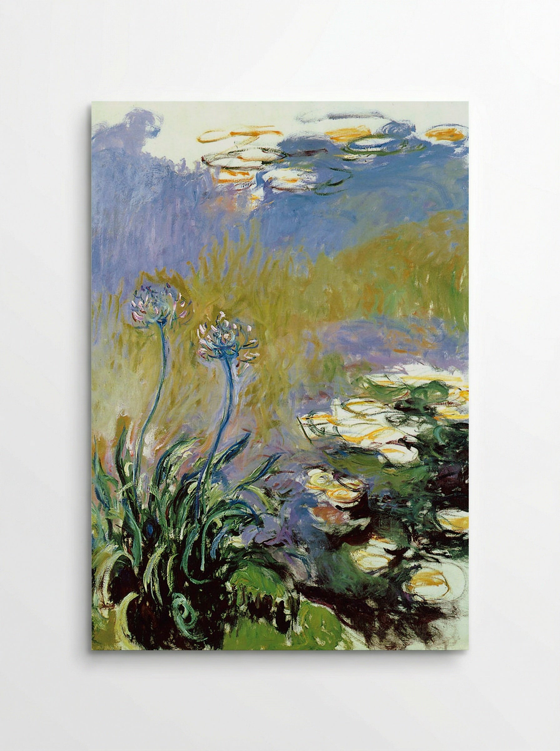 Agapanthus - Claude Monet - Poster