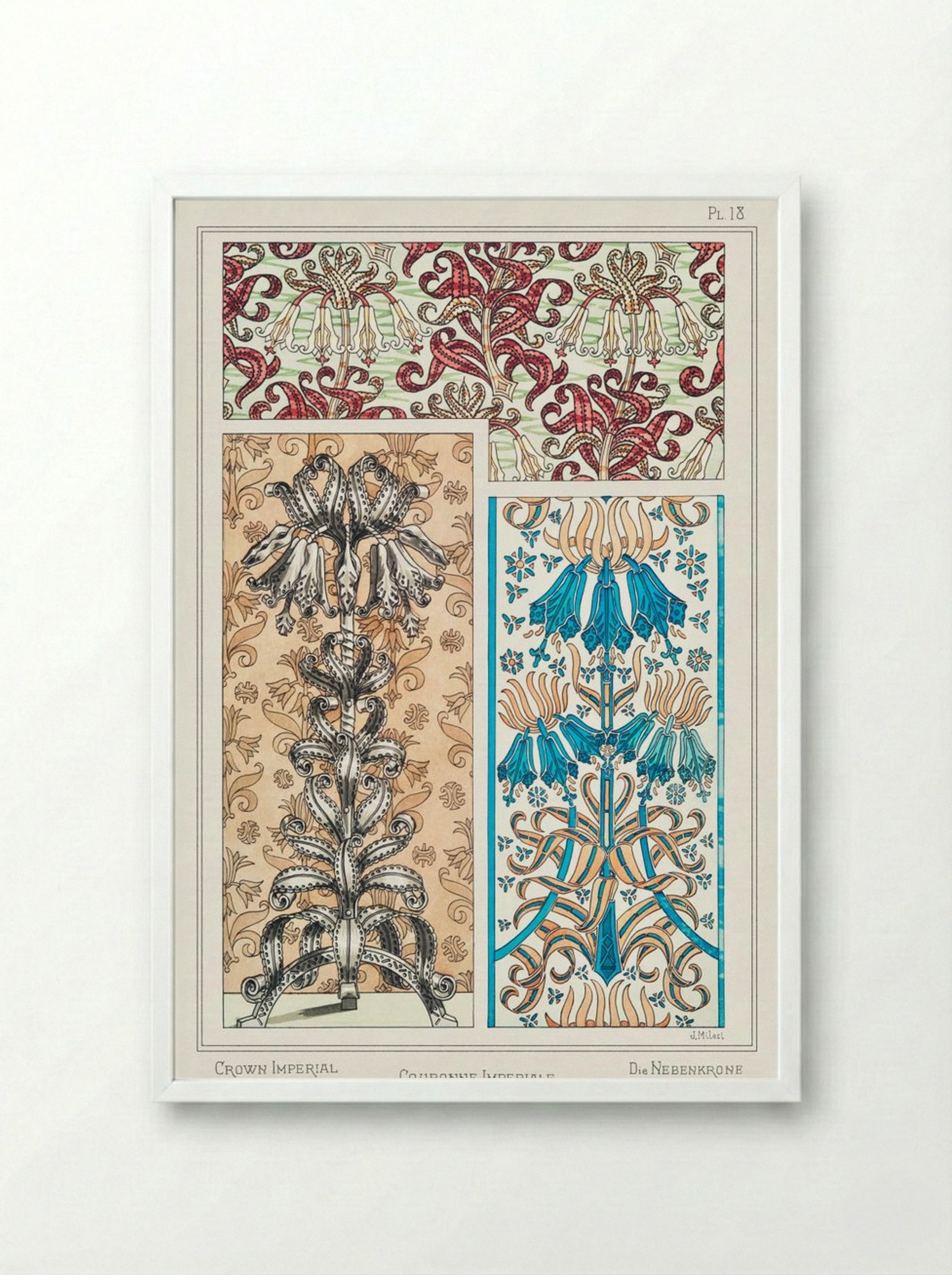 Couronne Impériale (Crown Imperial) from La Plante et ses Applications ornementales - Maurice Pillard Verneuil - Framed Print White