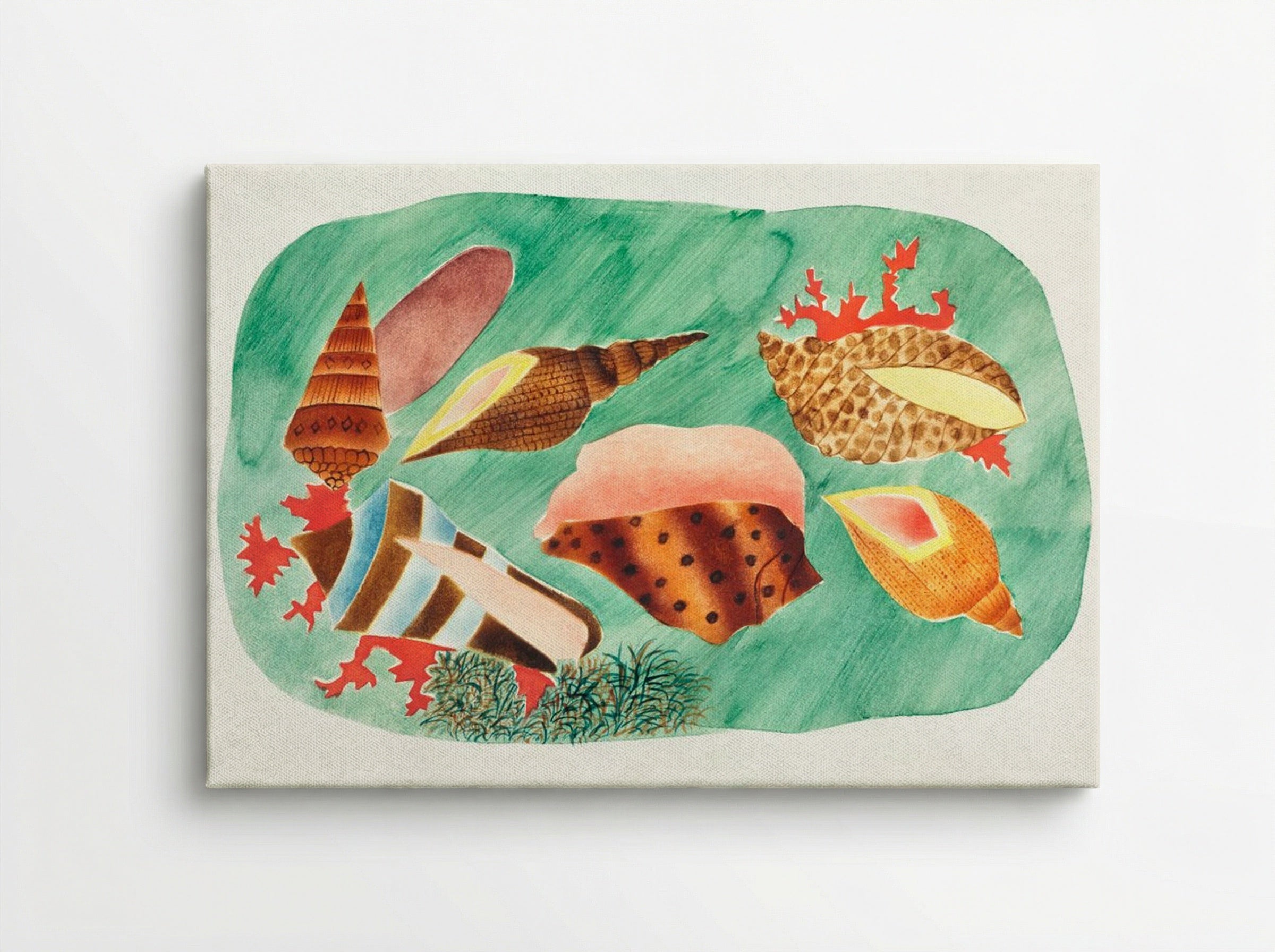 Shells in Seaweed - Mary Altha Nims - Canvas