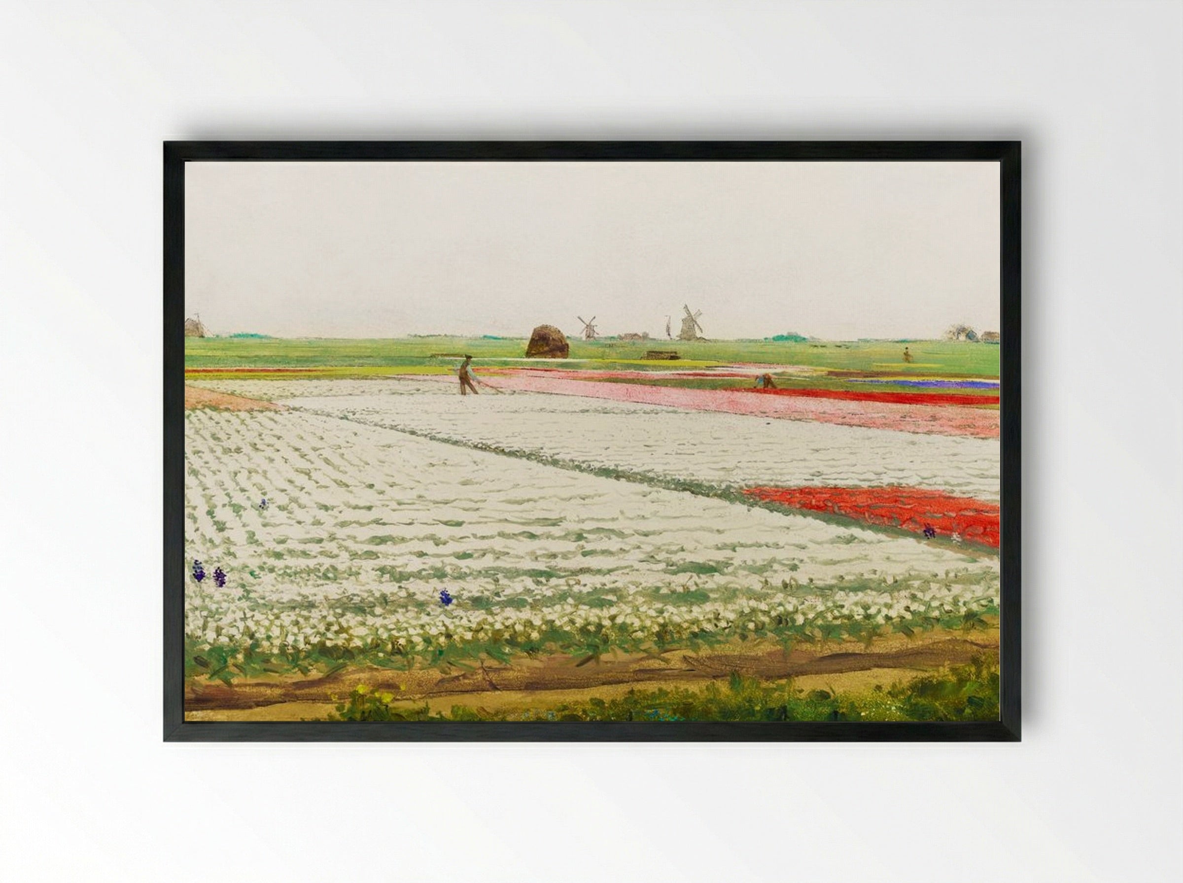Tulip Fields - Gerrit Willem Dijsselhof - Framed Print Black