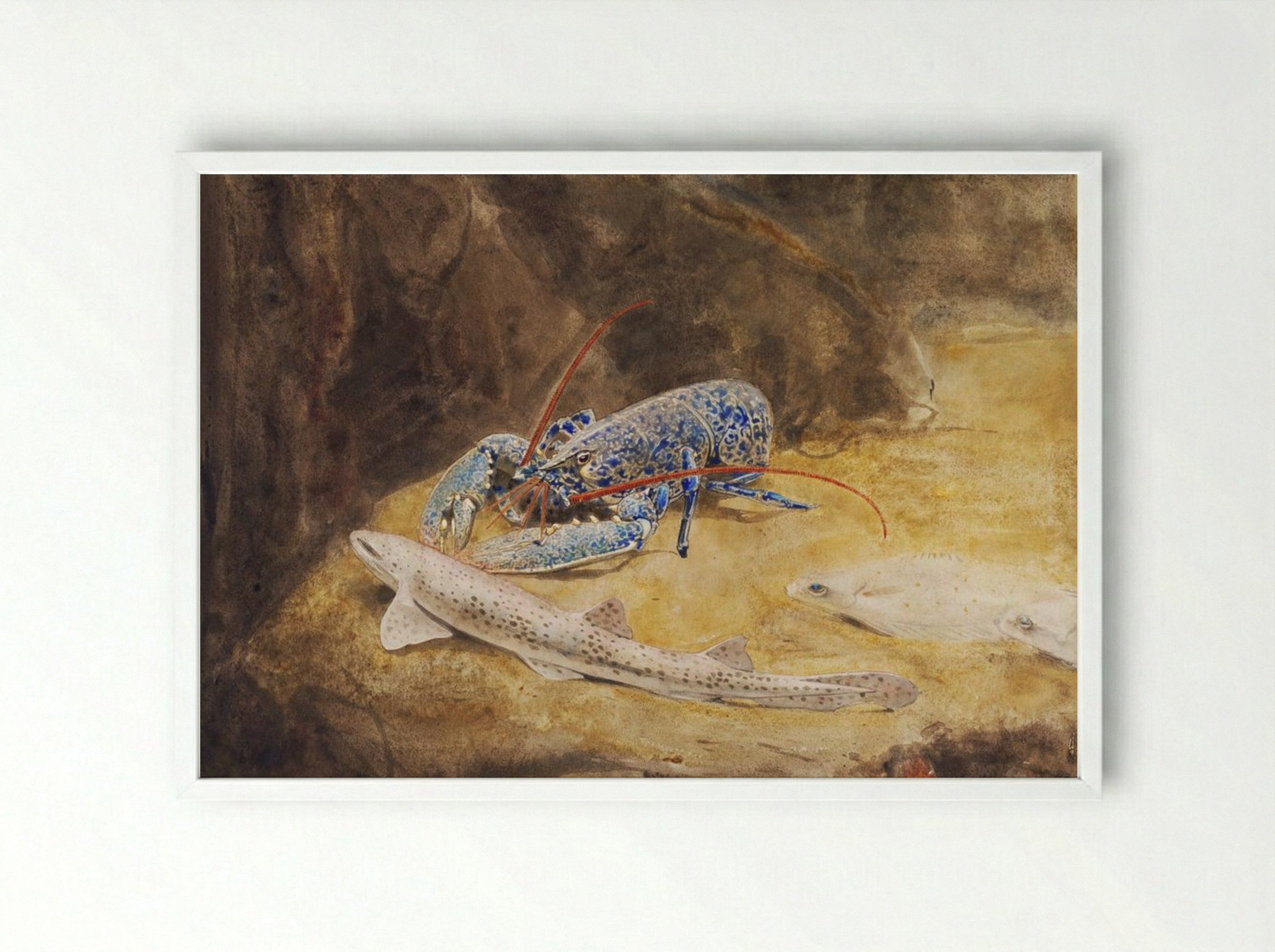 Aquarium with Three North Sea Fish, Lobster, Dogfish and Plaice - Gerrit Willem Dijsselhof - Framed Print White