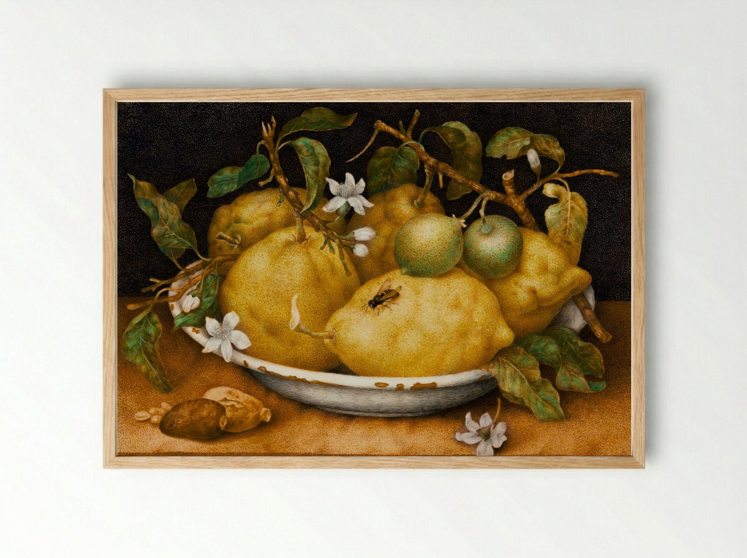 Still Life with Bowl of Citrons - Giovanna Garzoni - Framed Print Wood