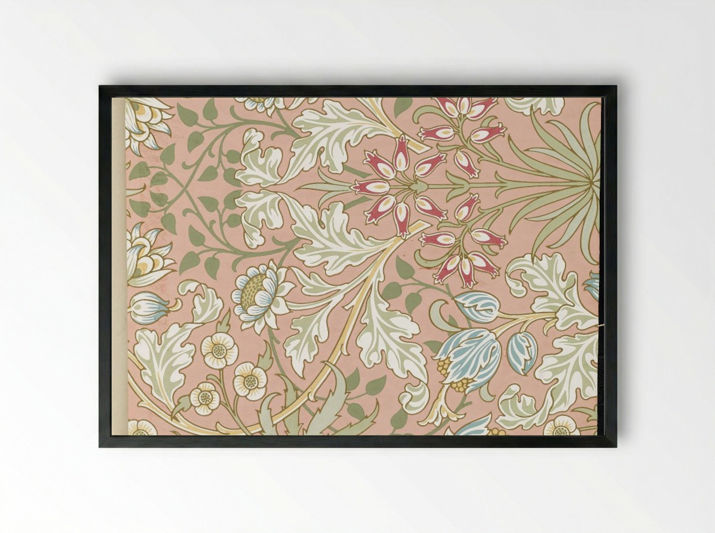 Hyacinth, Pattern No. 480 - Fine Art Print - Framed Print Black