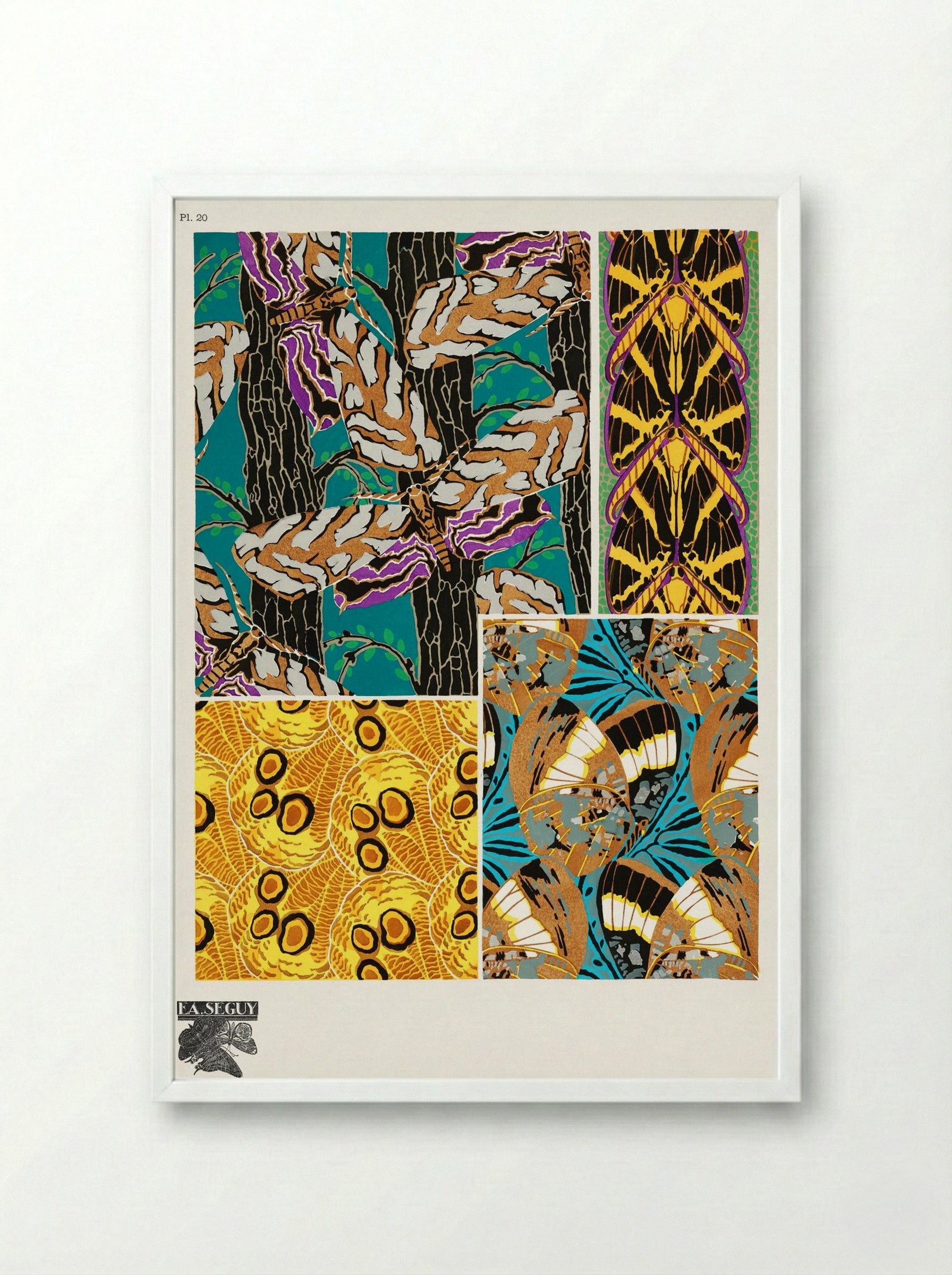 Butterflies Pattern Plate (from Papillons) - Émile-Allain Séguy - Framed Print White