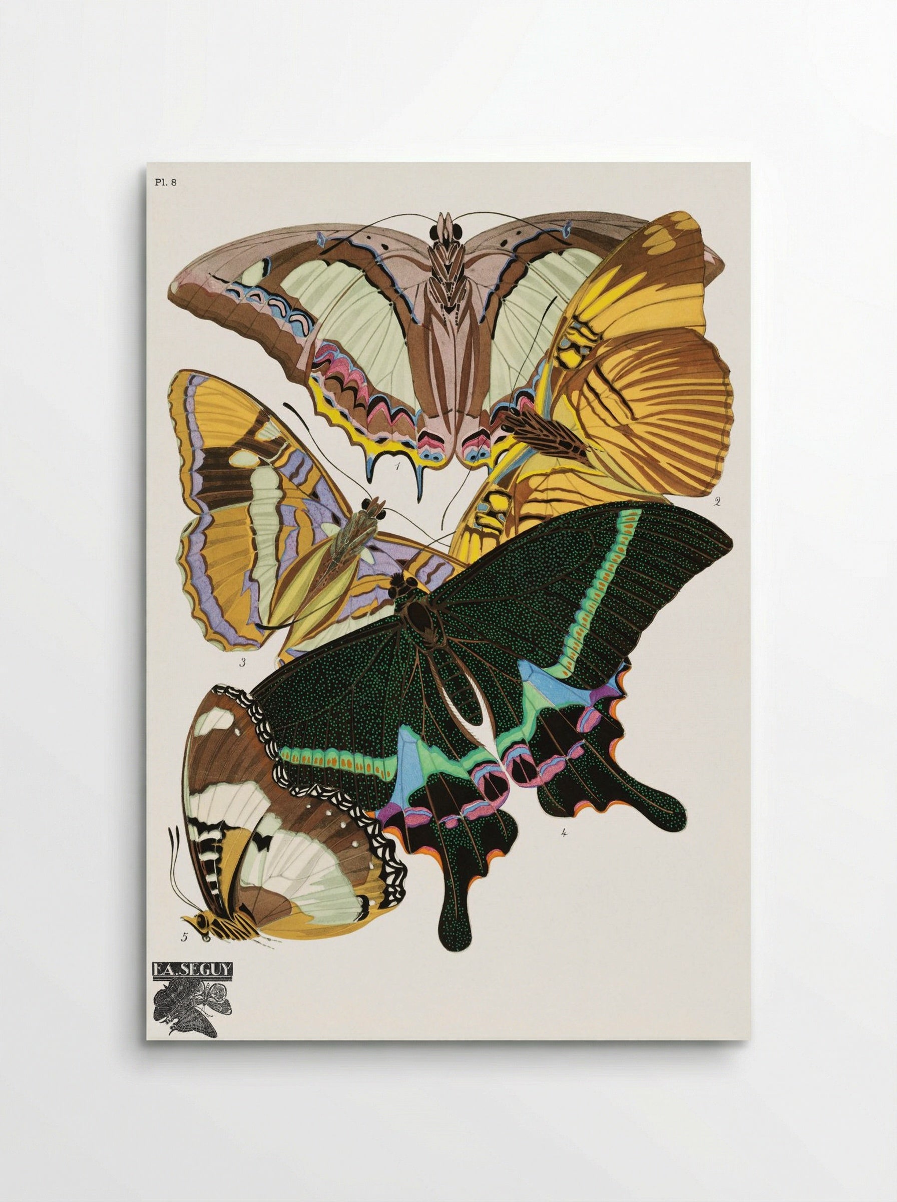 Butterflies (Plate 8) - Émile-Allain Séguy - Poster