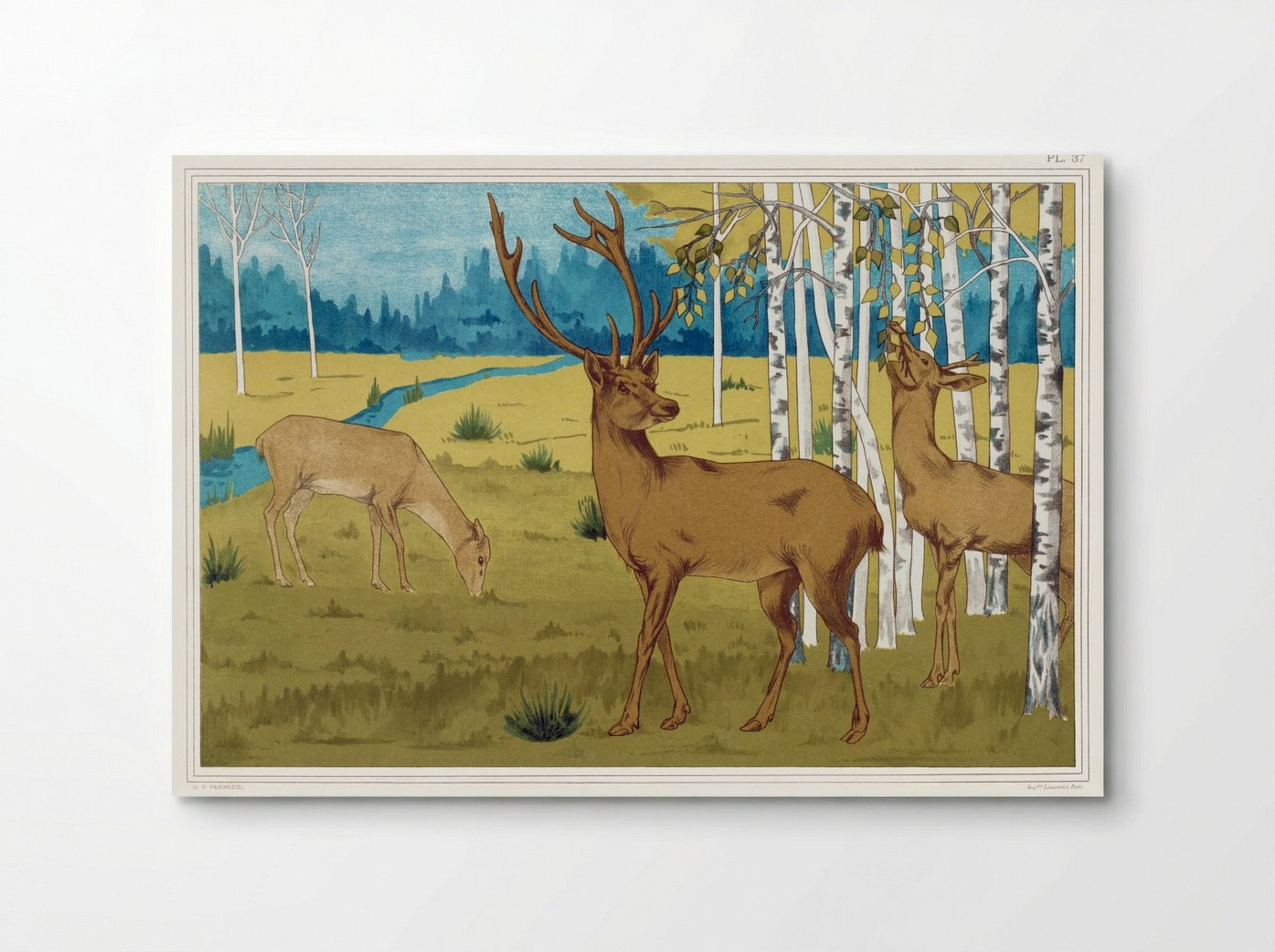 Cerfs (Deer) from L'animal dans la décoration - Maurice Pillard Verneuil - Poster