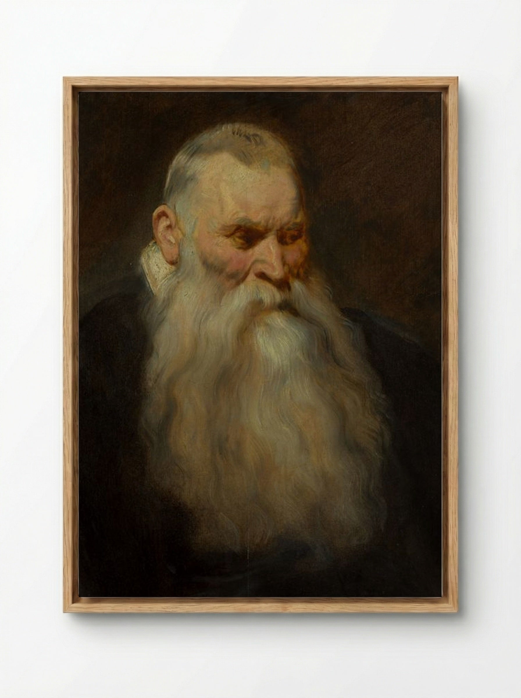 Study: Head of an Old Man with a White Beard - Anthony van Dyck - Framed Canvas Wood