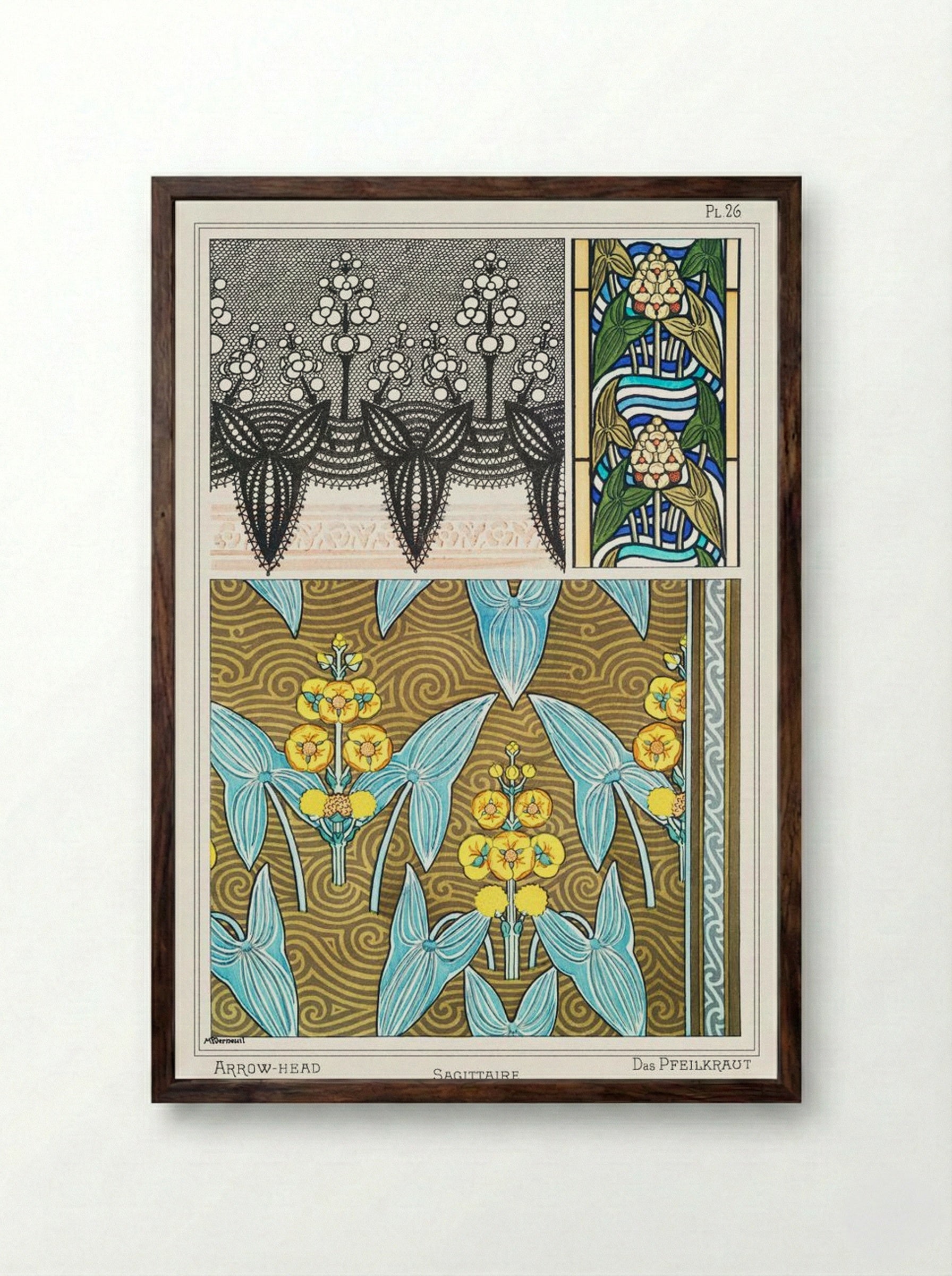 Sagittaire (Arrowhead) from La Plante et ses Applications ornementales - Maurice Pillard Verneuil - Framed Print Dark Wood