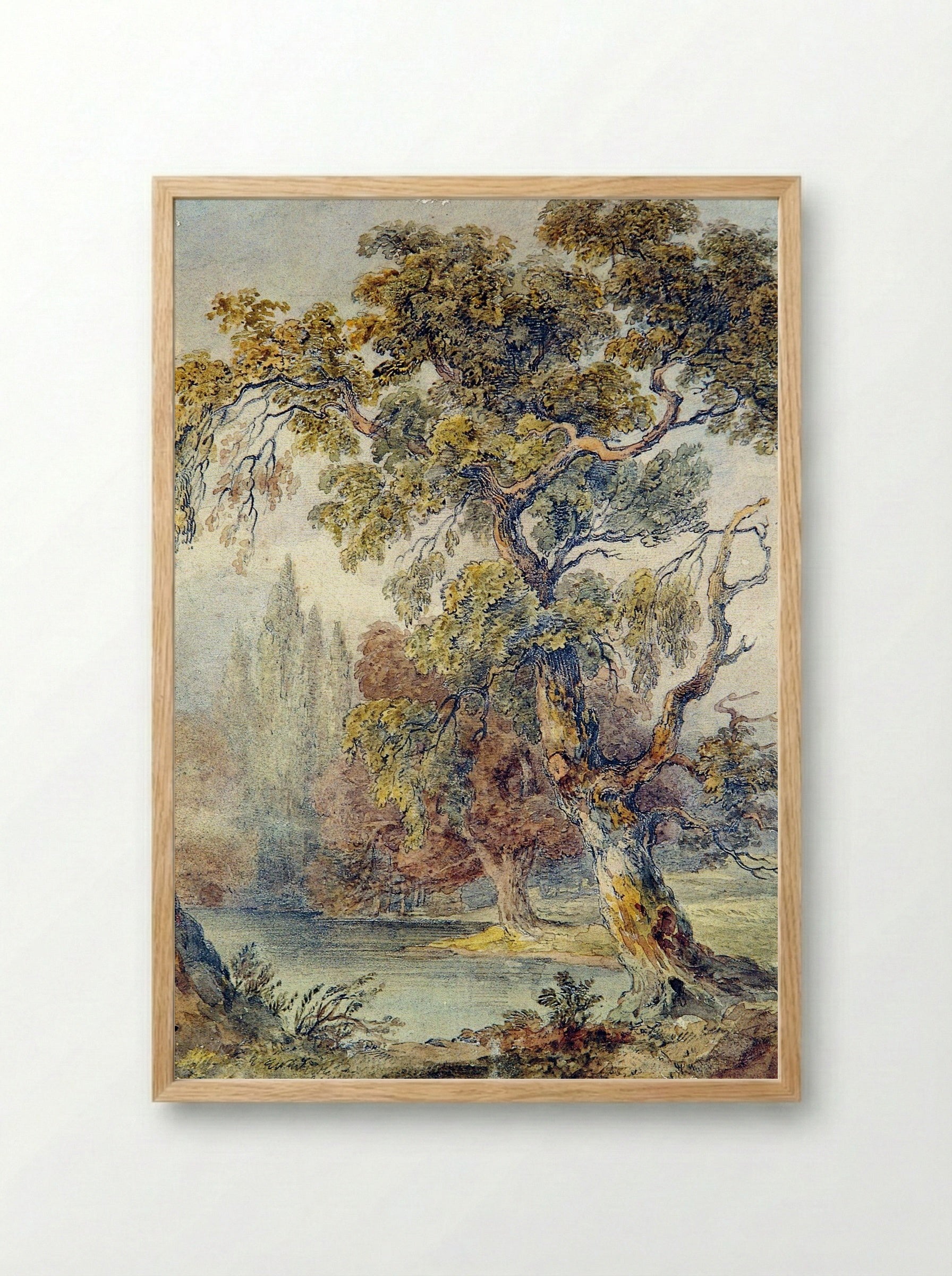 Trees and Pond - Fine Art Print - Framed Print Wood