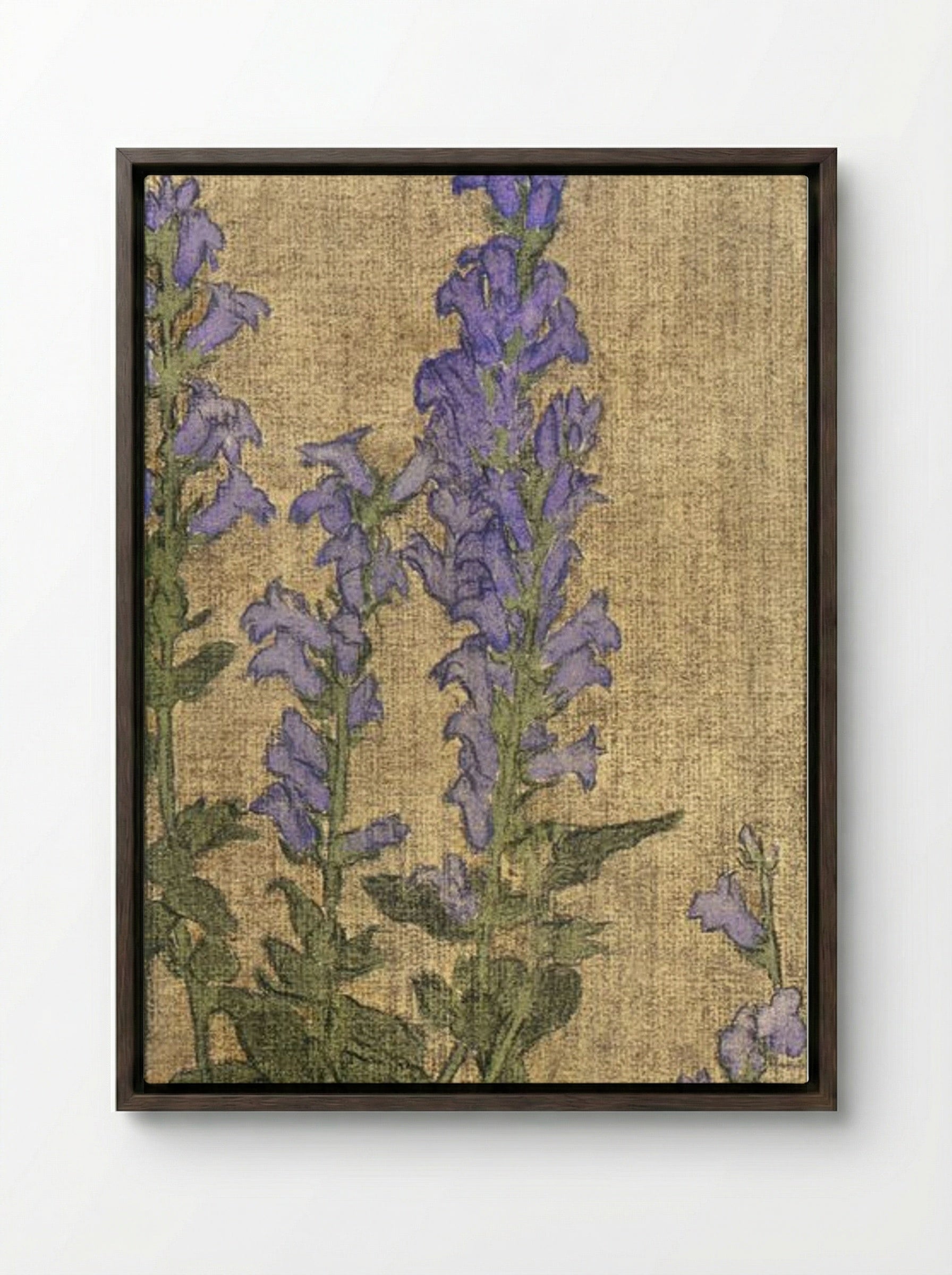 Delphinium - Hannah Borger Overbeck - Framed Canvas Dark Wood